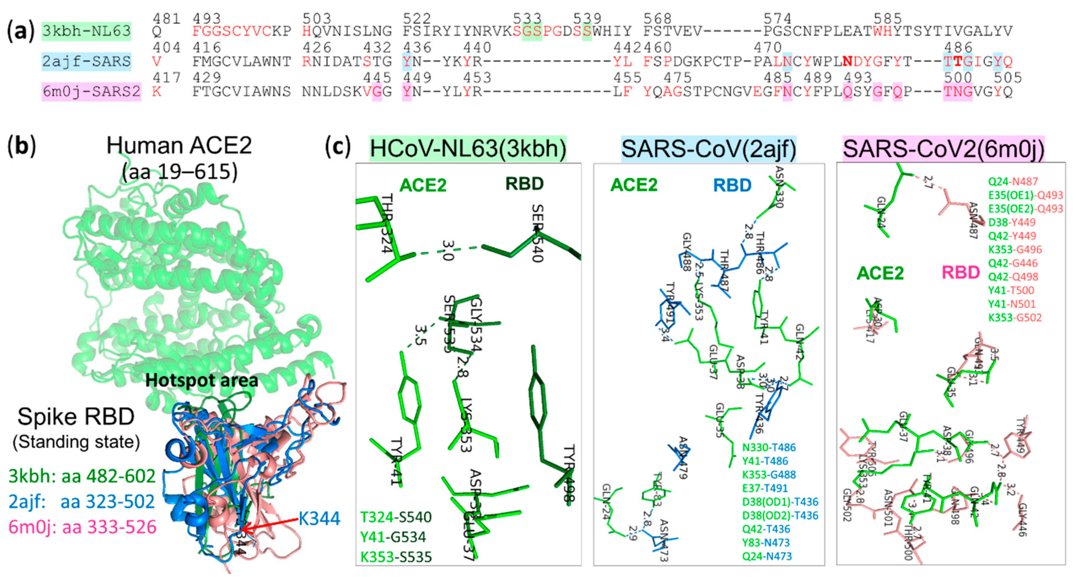 Vaccines 08 00587 g008 Vaccines 08 00587 g008
