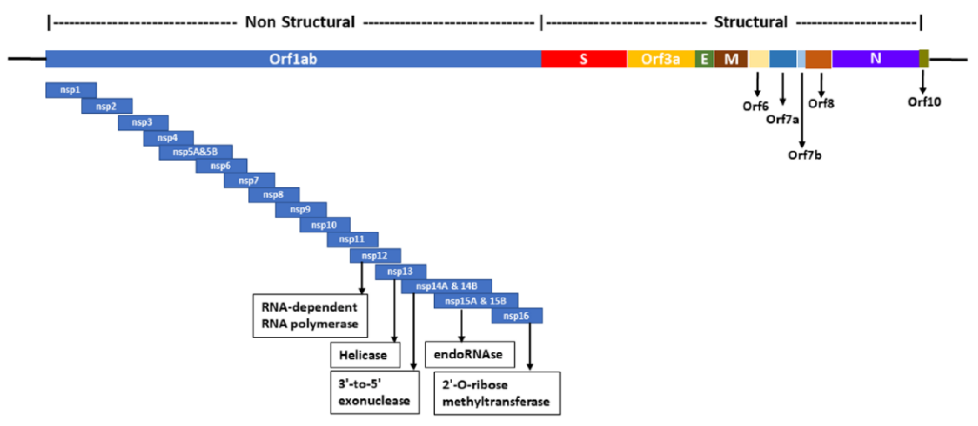 Vaccines 08 00591 g001 Vaccines 08 00591 g001