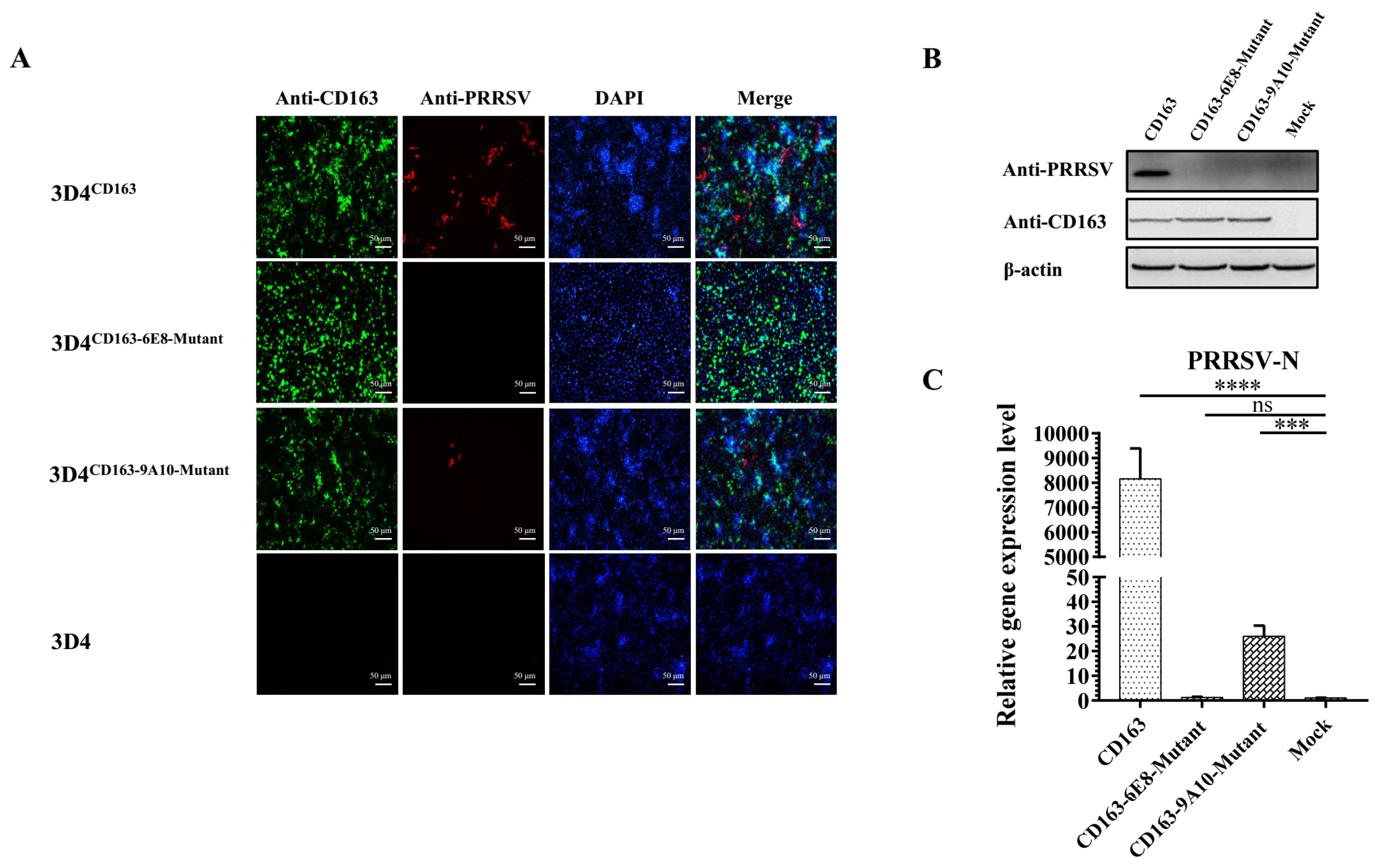 Vaccines 08 00592 g008