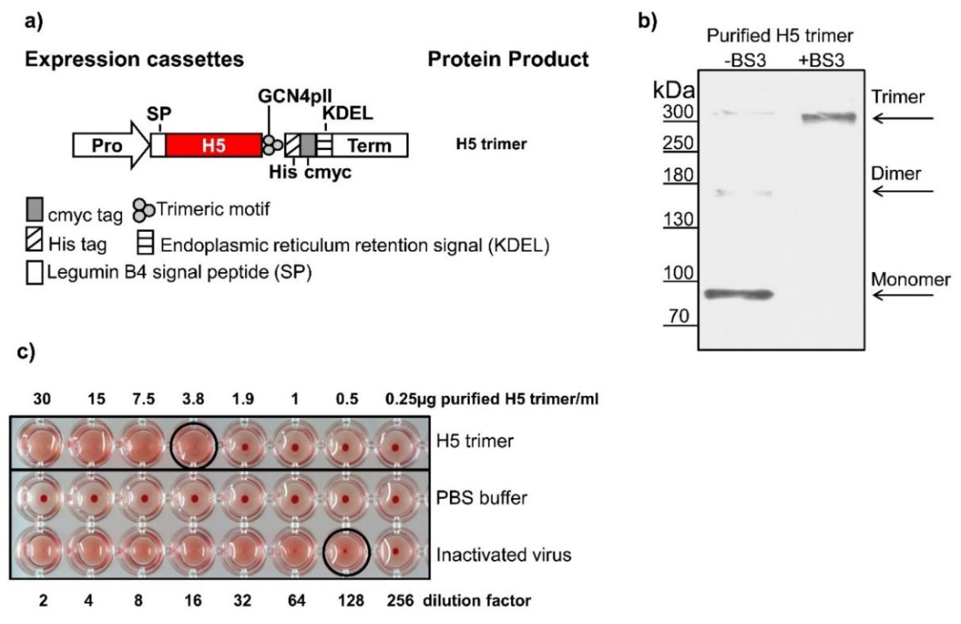 Vaccines 08 00593 g001 Vaccines 08 00593 g001