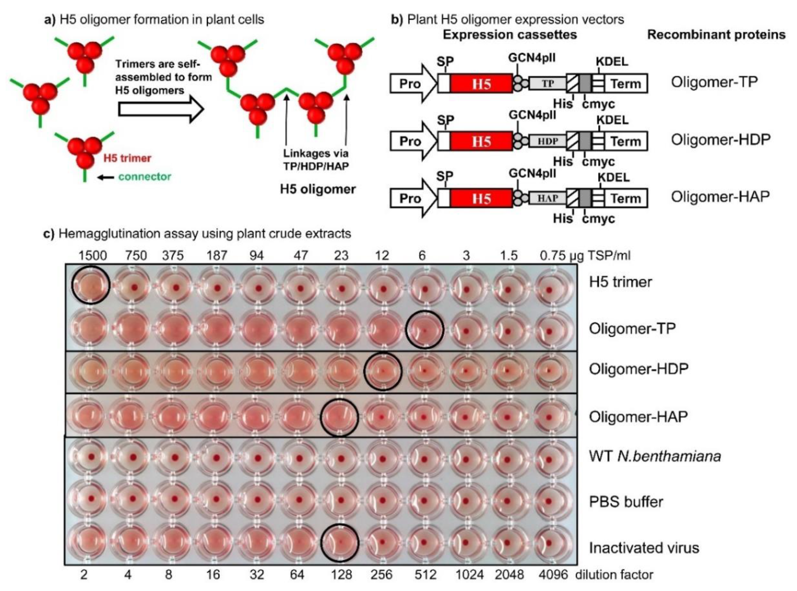 Vaccines 08 00593 g003 Vaccines 08 00593 g003