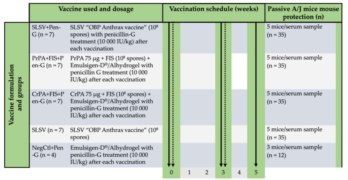 Vaccines 08 00595 g001