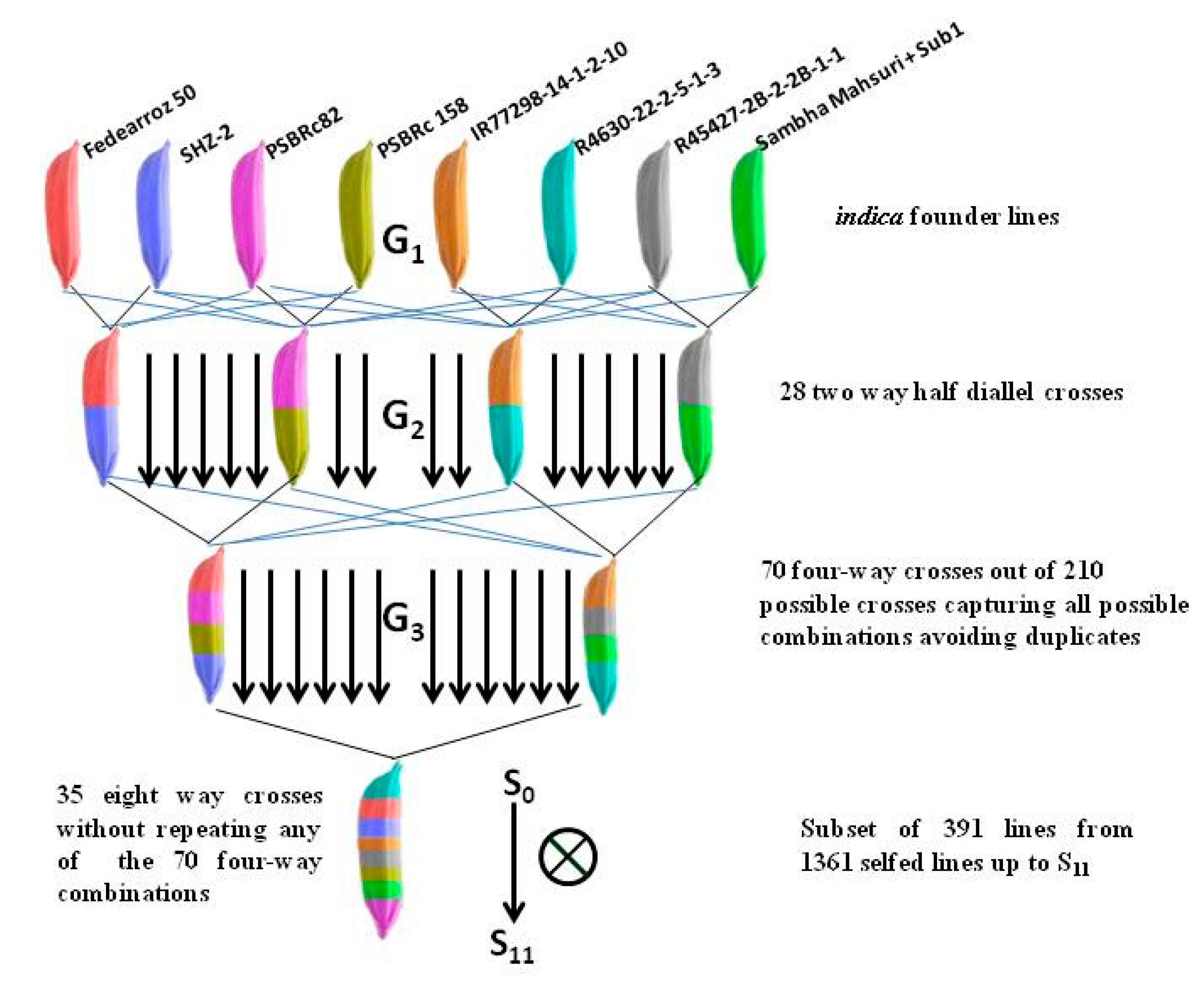 Vaccines 08 00608 g001