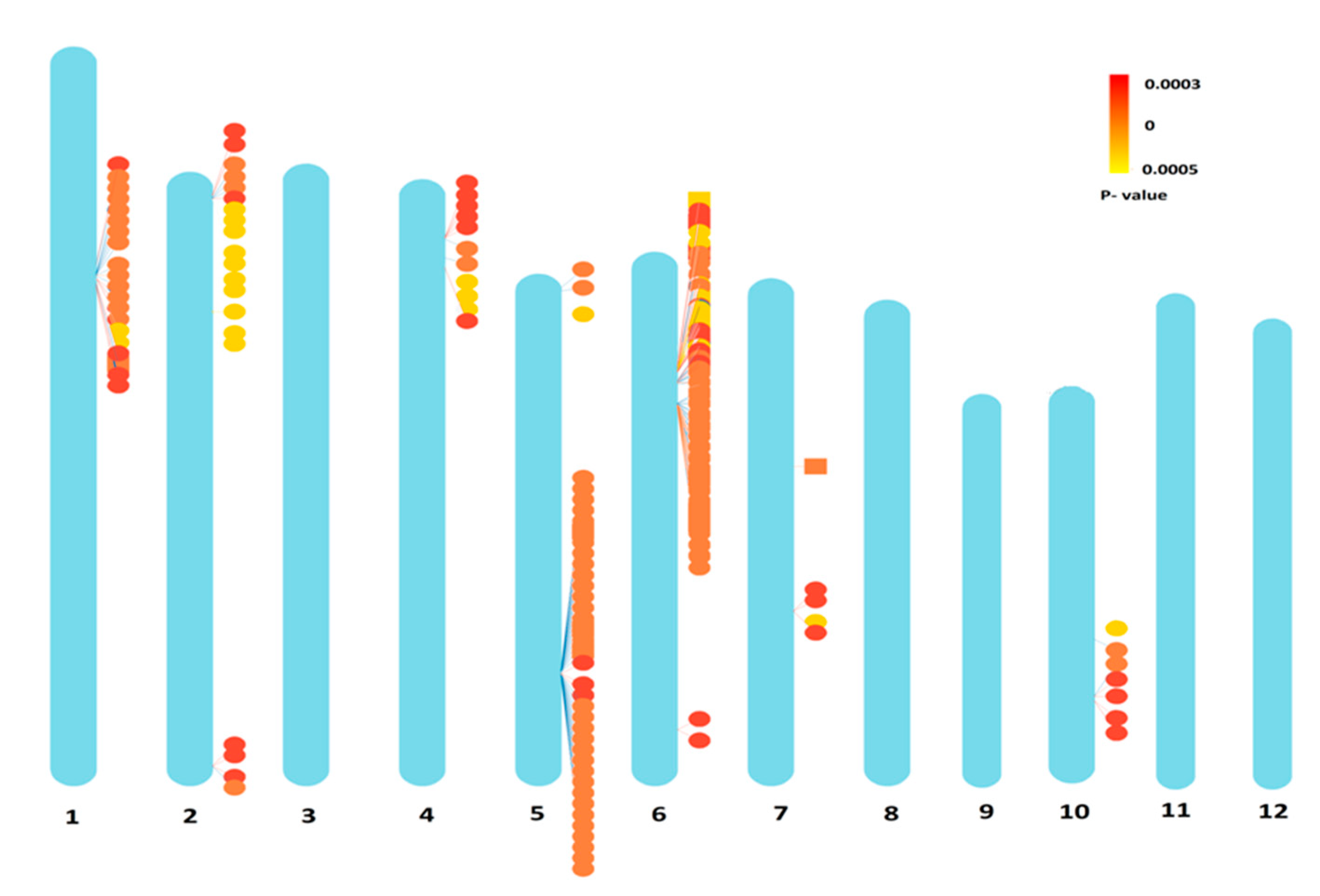 Vaccines 08 00608 g004