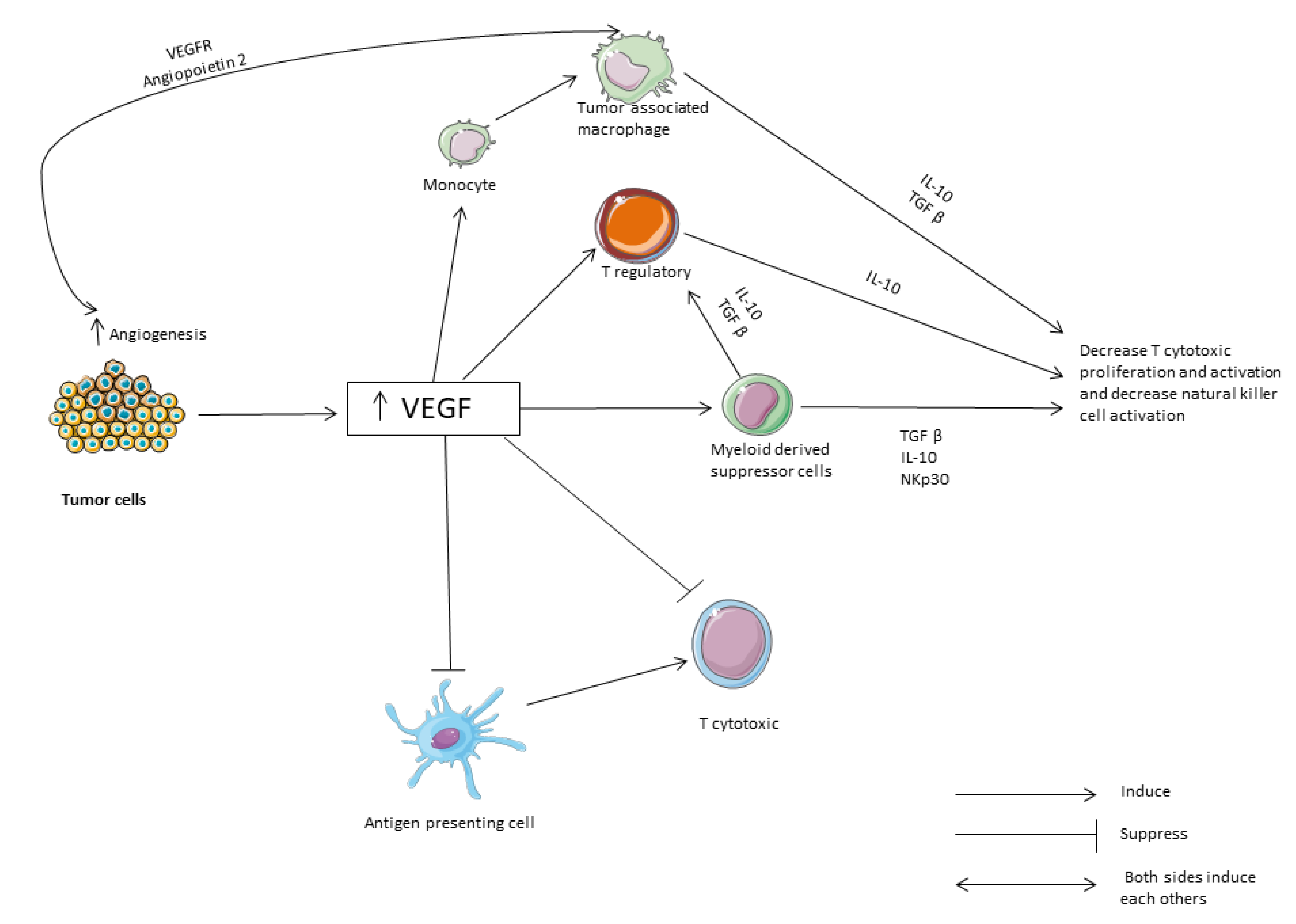 Vaccines 08 00616 g002 Vaccines 08 00616 g002
