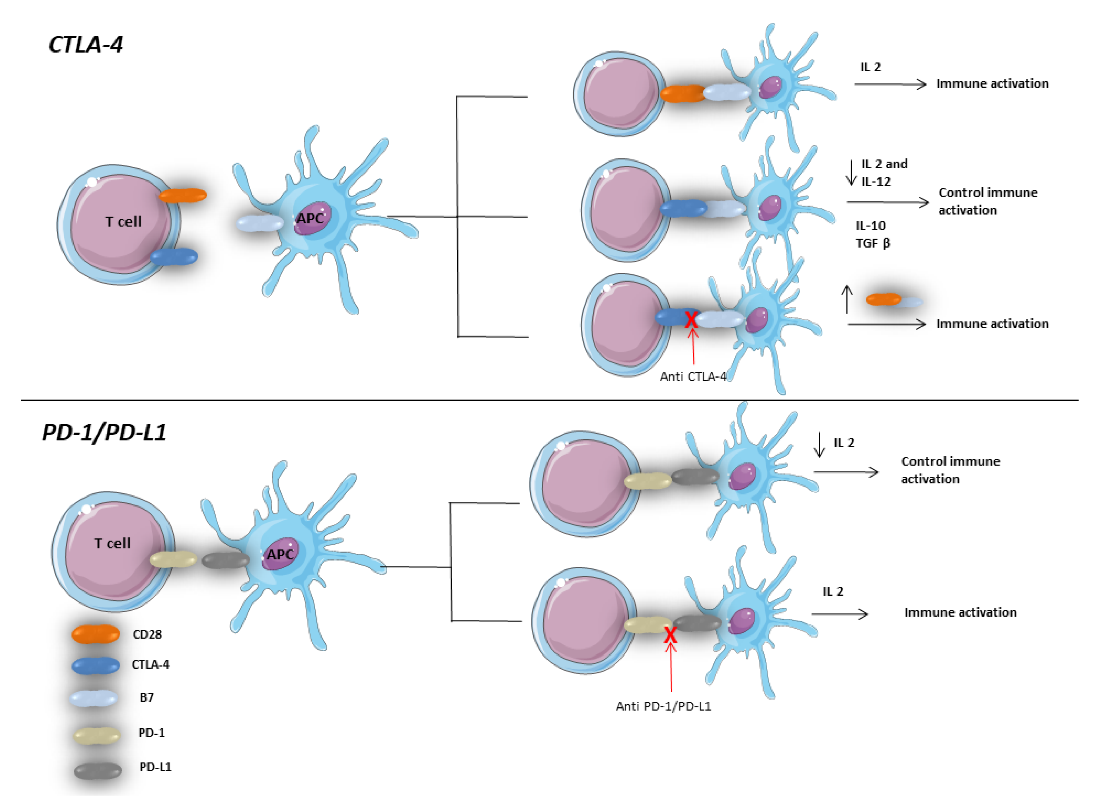 Vaccines 08 00616 g003 Vaccines 08 00616 g003