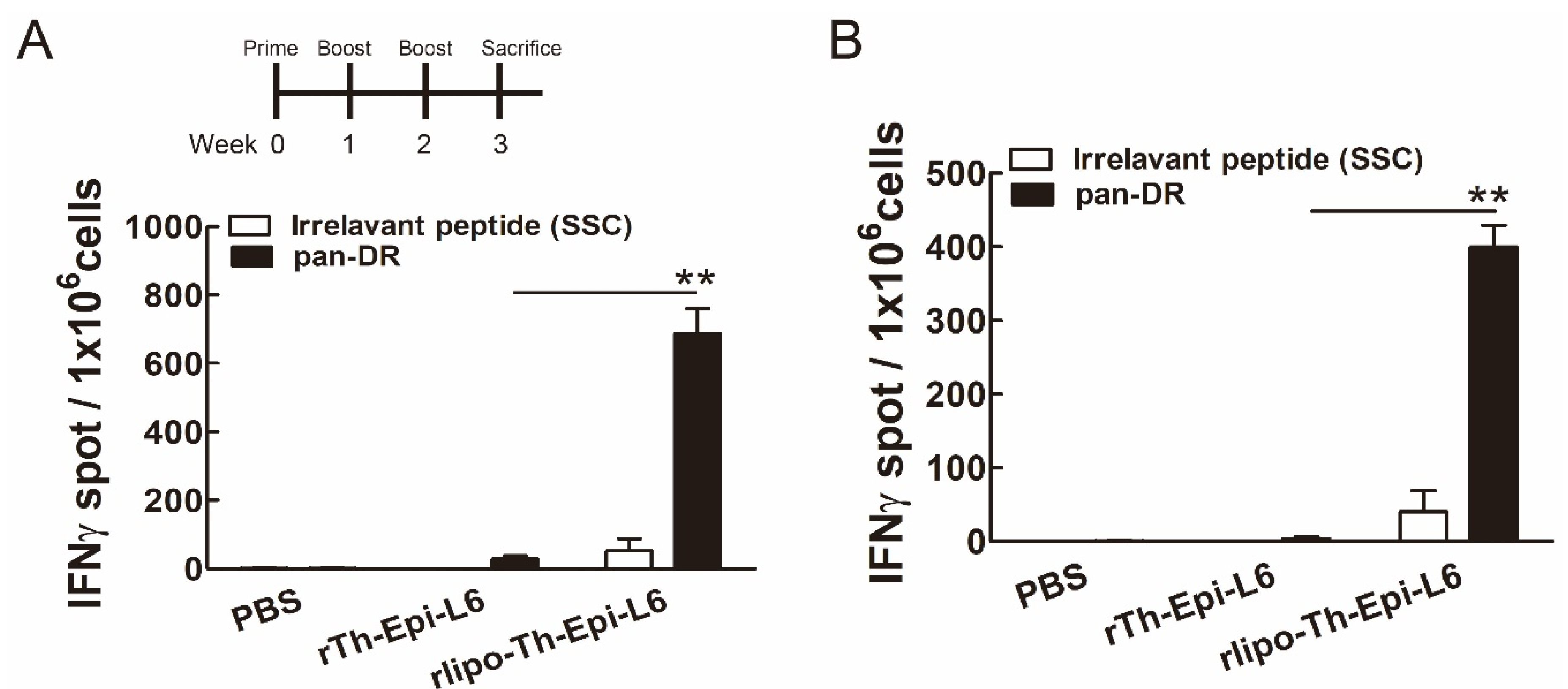 Vaccines 08 00620 g006 Vaccines 08 00620 g006