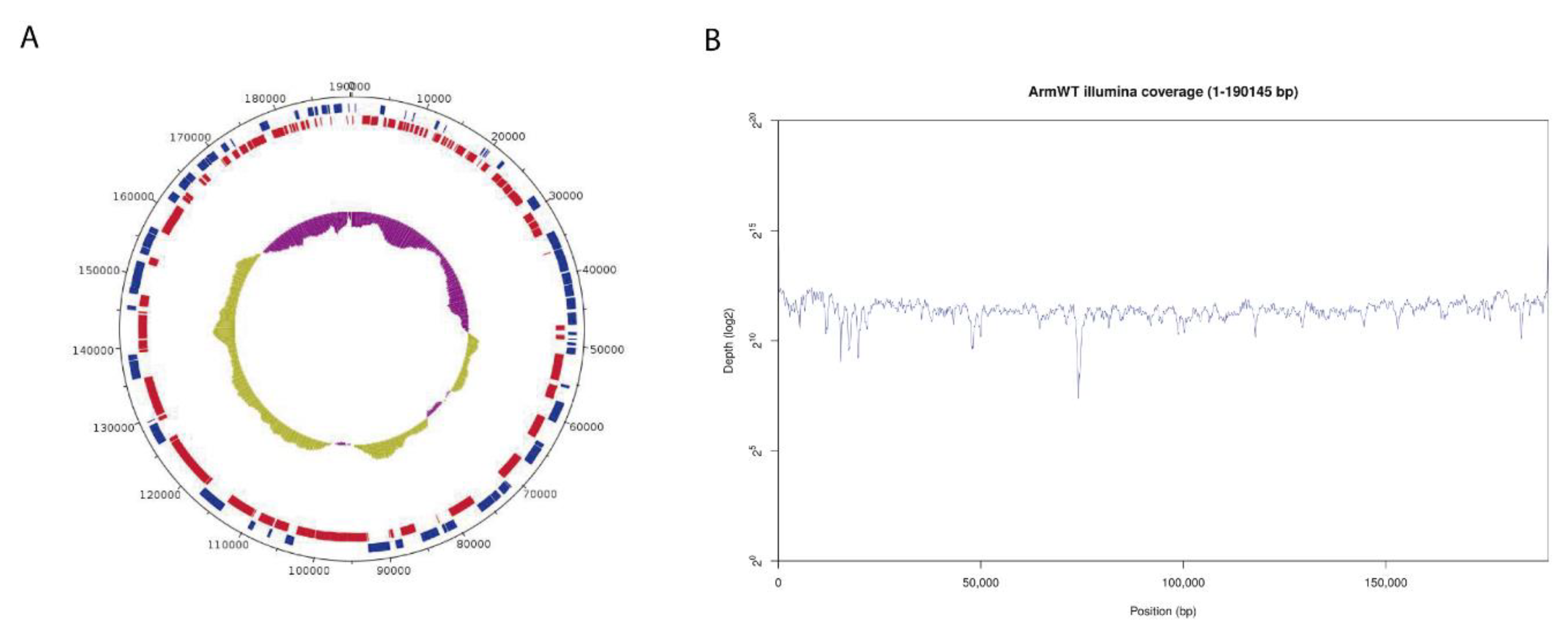 Vaccines 08 00625 g002