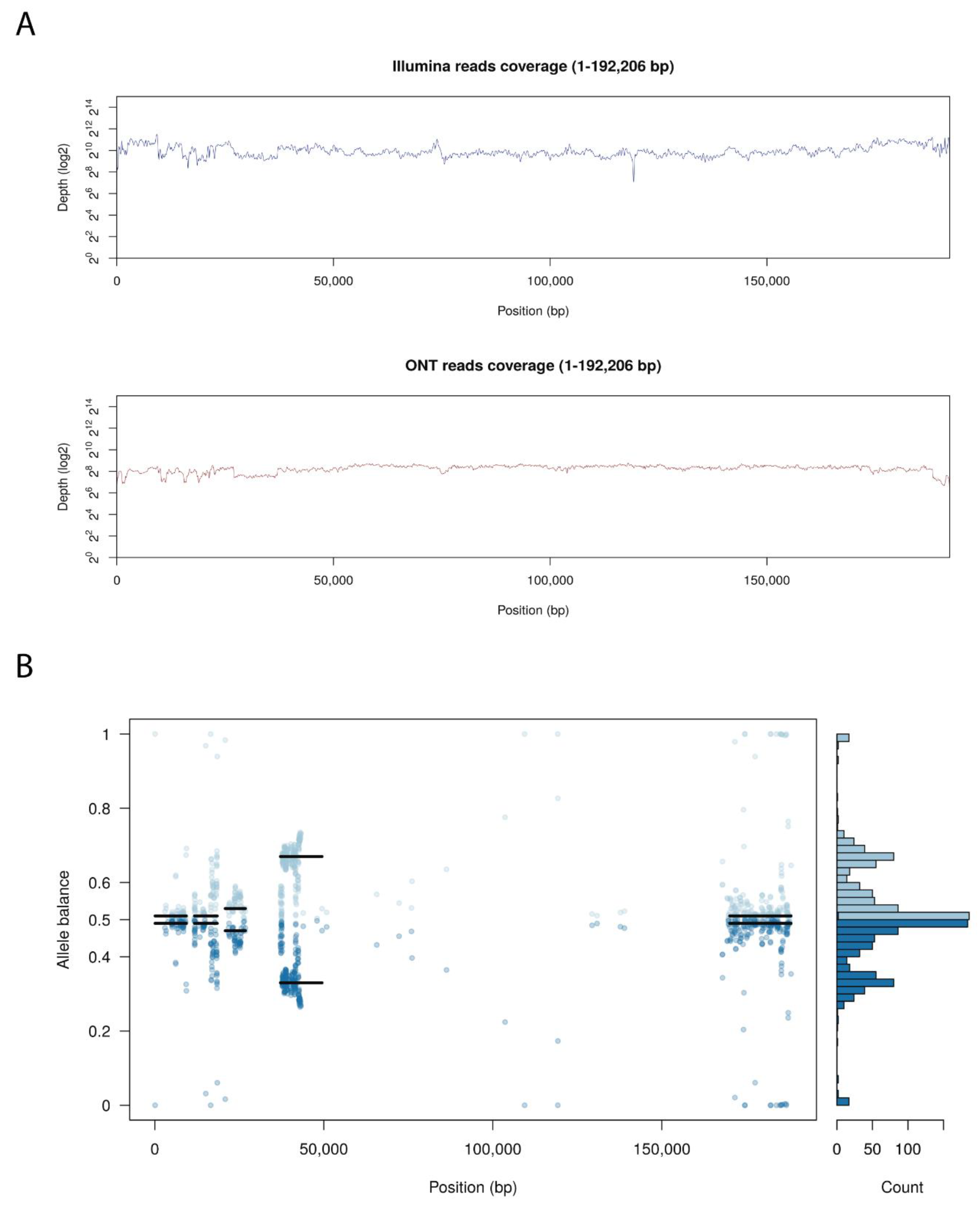Vaccines 08 00625 g003