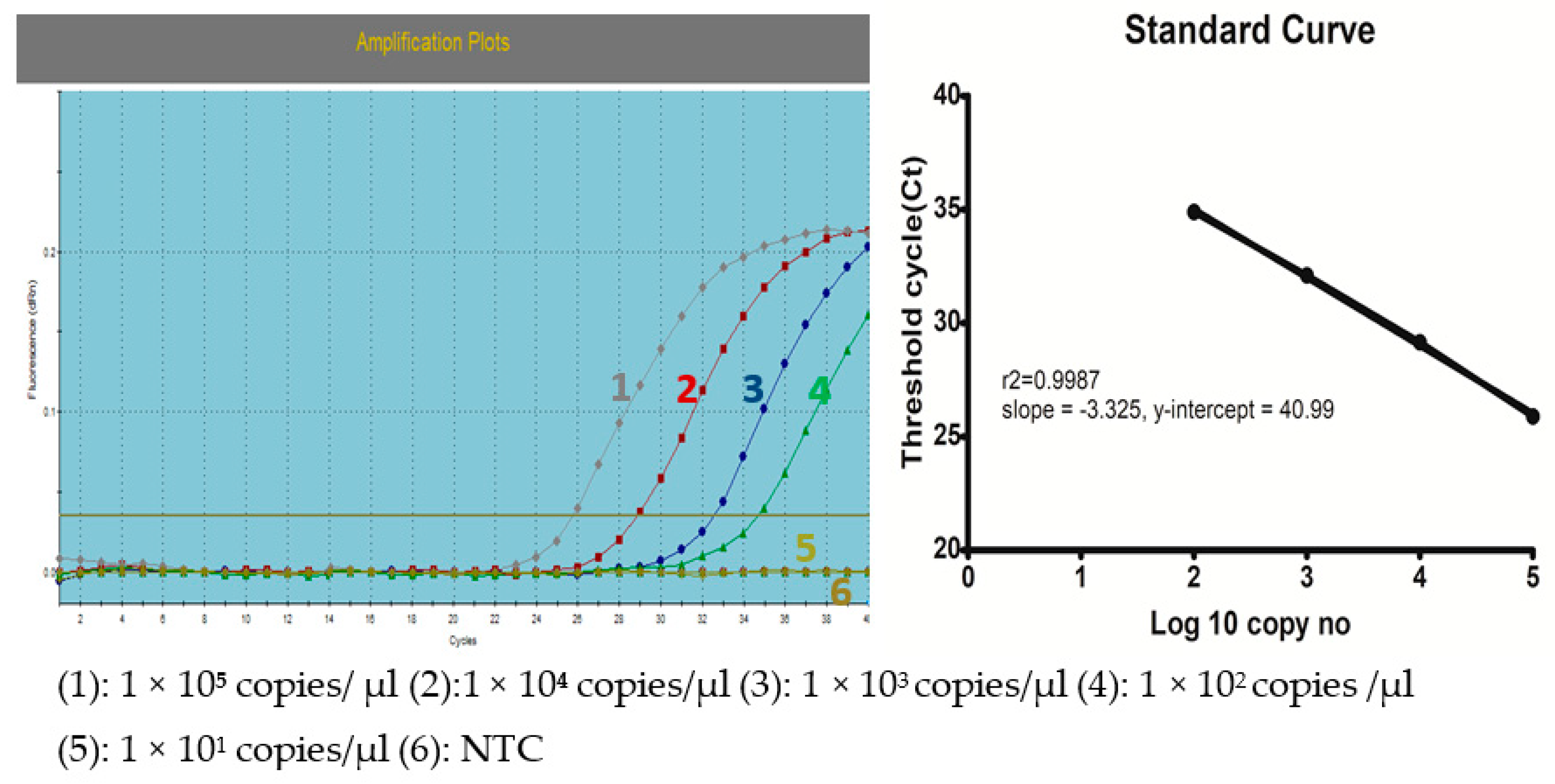 Vaccines 08 00627 g0a1 Vaccines 08 00627 g0a1