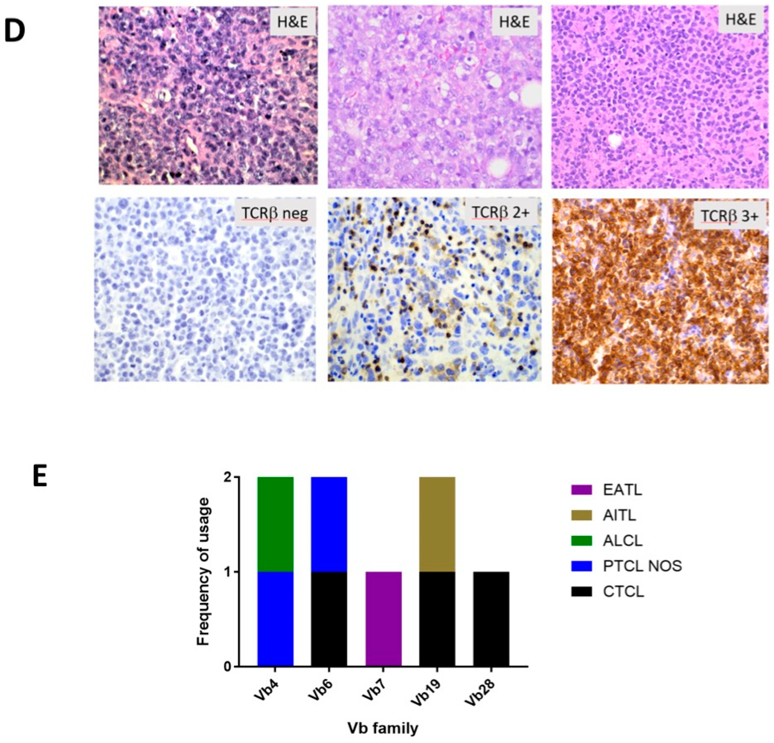 Vaccines 08 00631 g002b Vaccines 08 00631 g002b