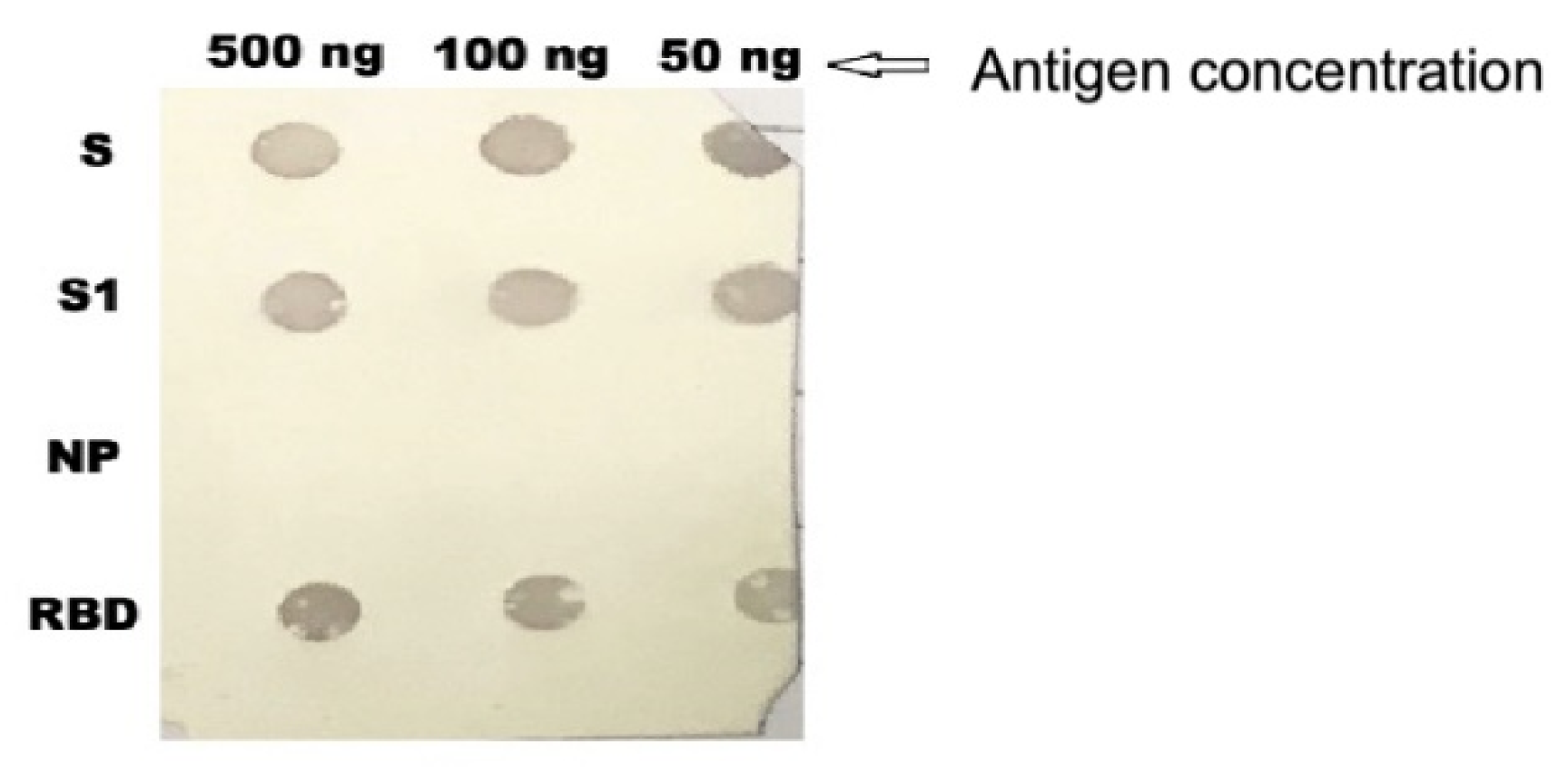 Vaccines 08 00634 g004 Vaccines 08 00634 g004