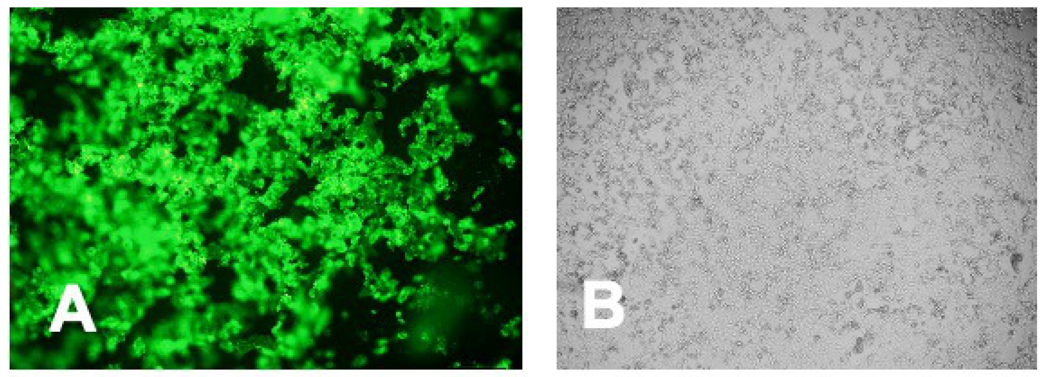 Vaccines 08 00634 g005 Vaccines 08 00634 g005