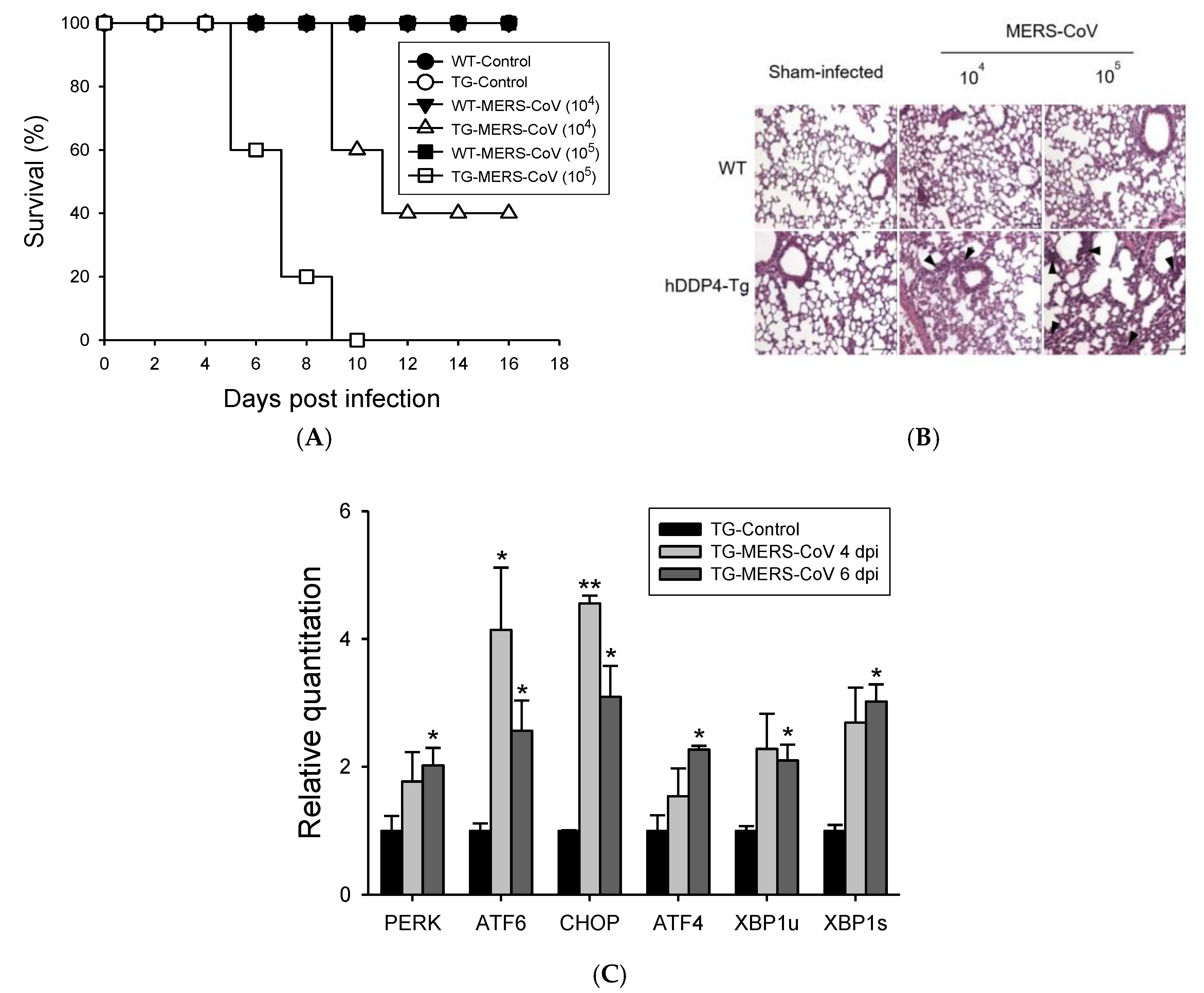 Vaccines 08 00635 g001 Vaccines 08 00635 g001