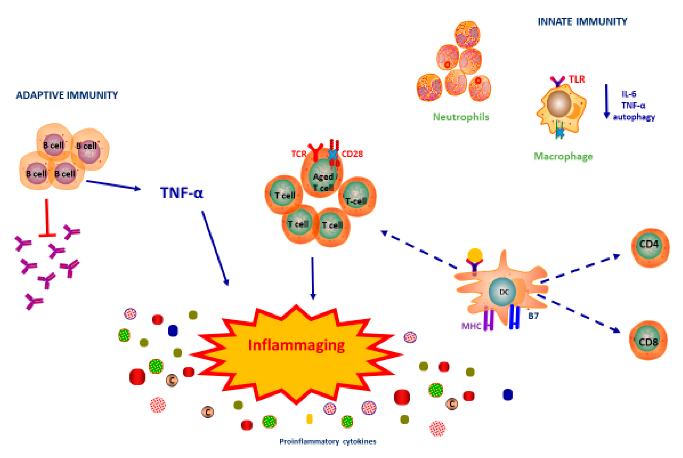Vaccines 08 00636 g001 Vaccines 08 00636 g001