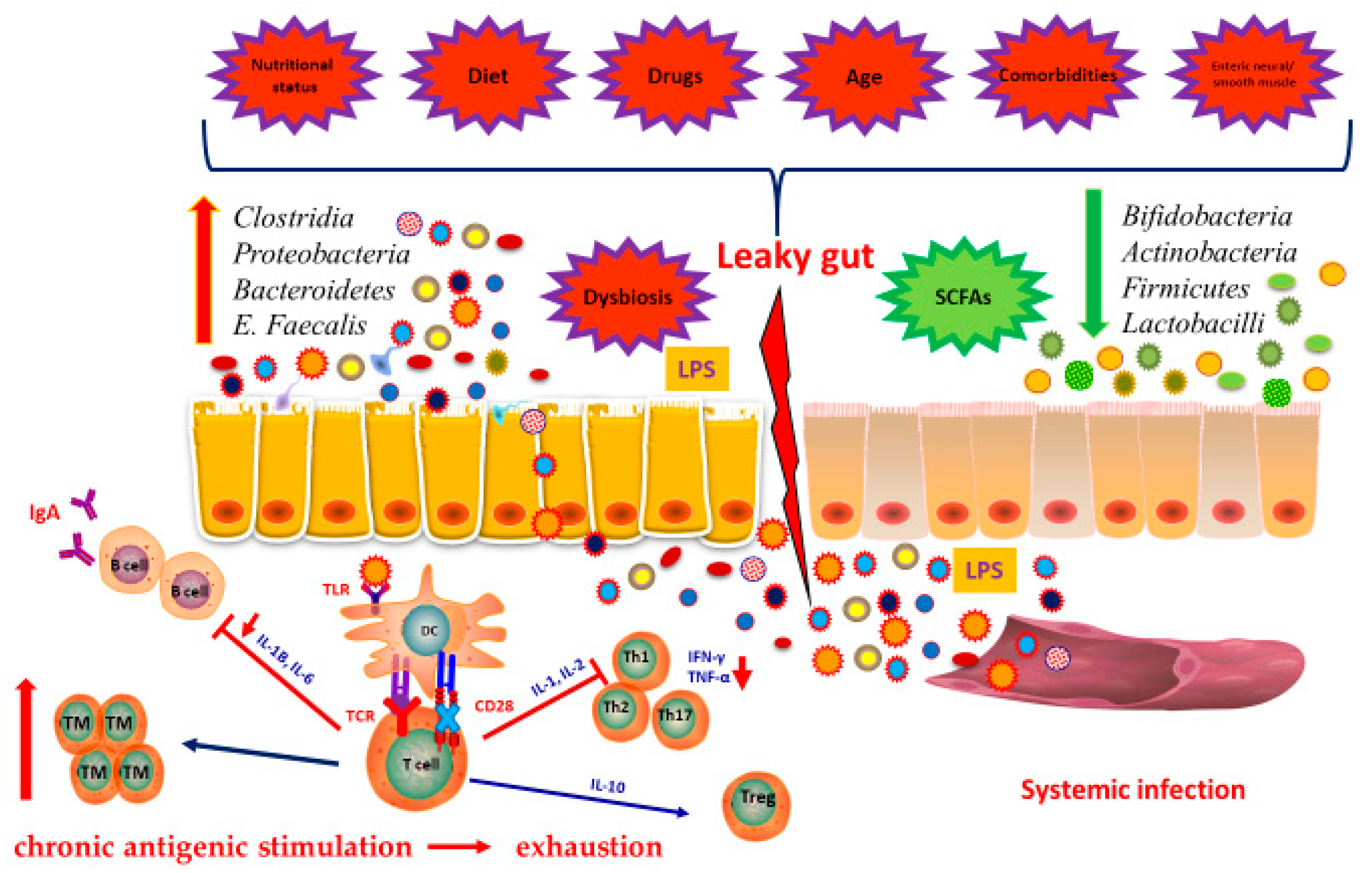 Vaccines 08 00636 g002 Vaccines 08 00636 g002
