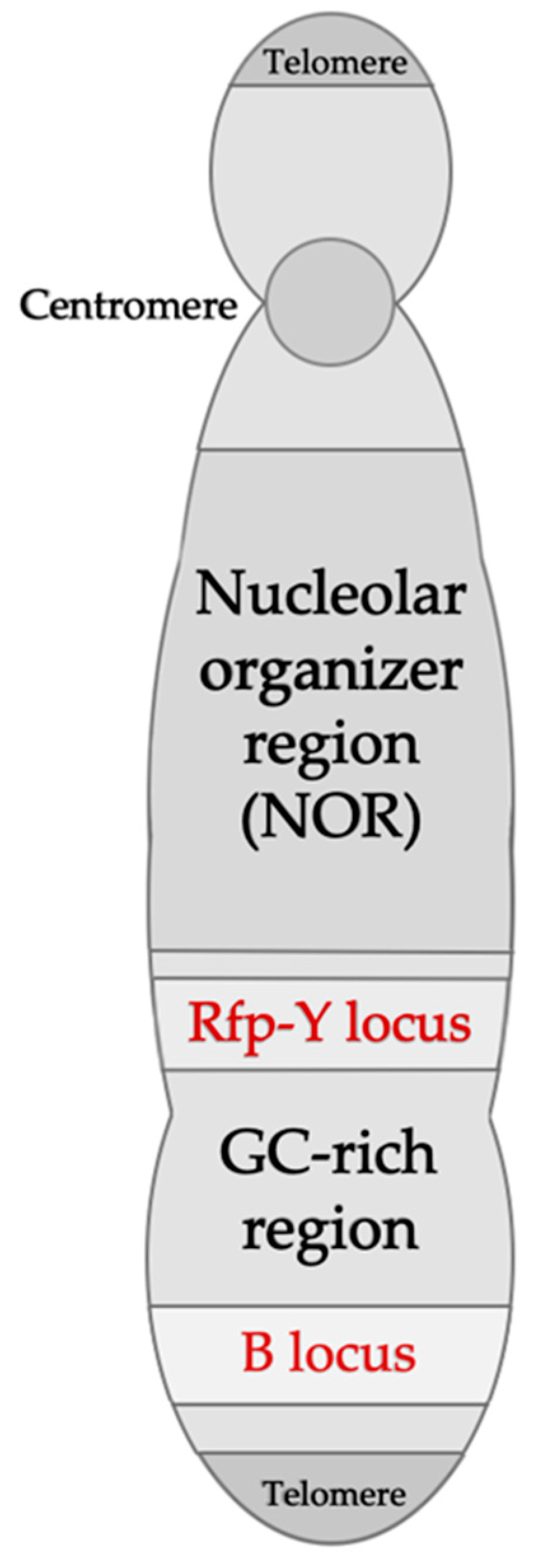 Vaccines 08 00637 g002 Vaccines 08 00637 g002