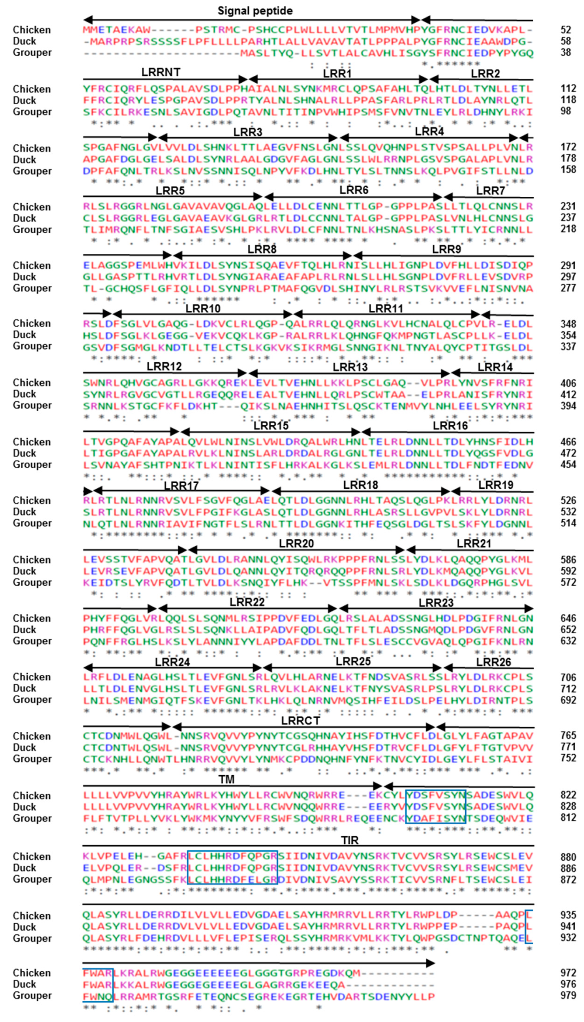 Vaccines 08 00639 g001 Vaccines 08 00639 g001
