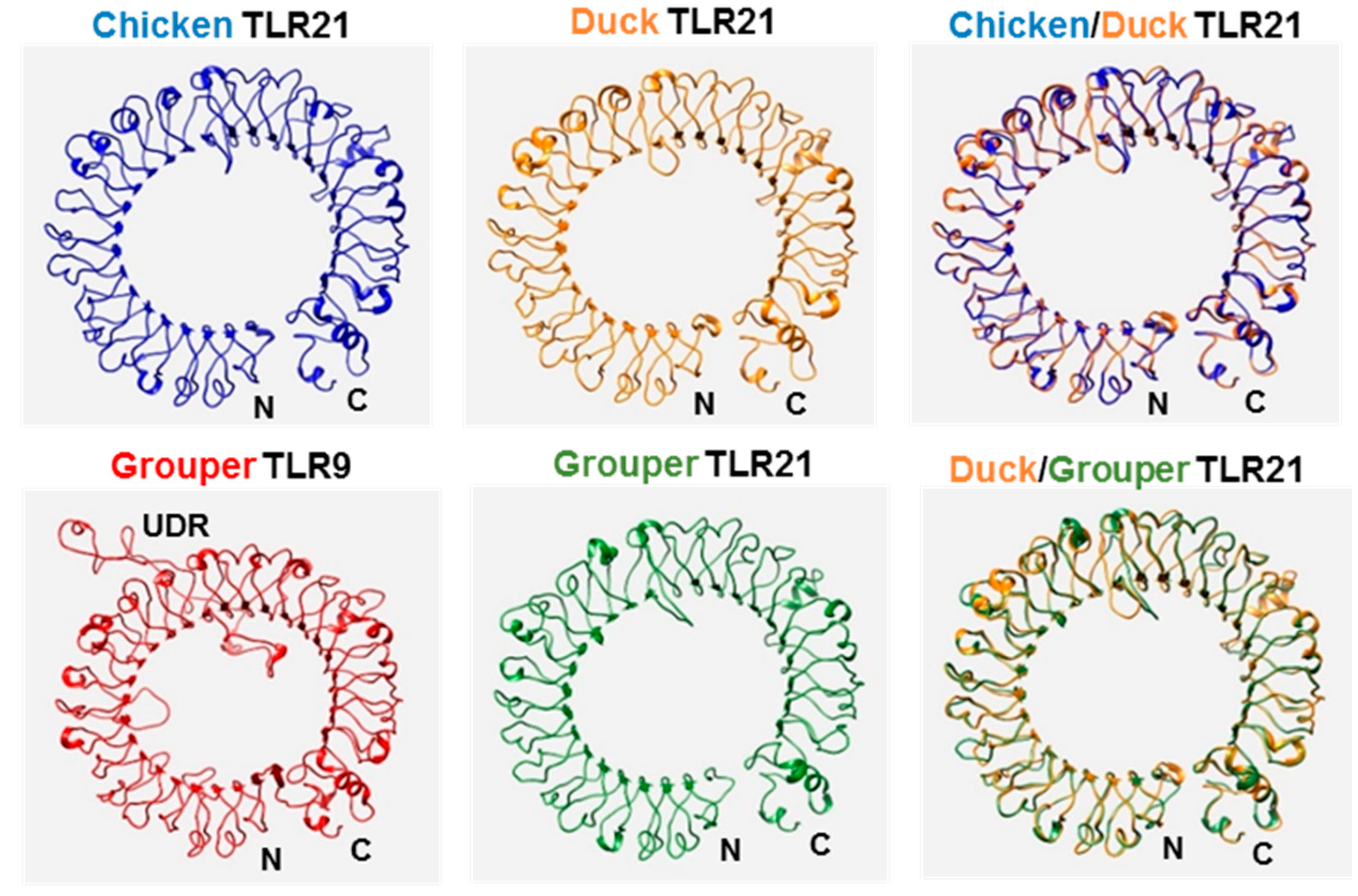 Vaccines 08 00639 g002 Vaccines 08 00639 g002