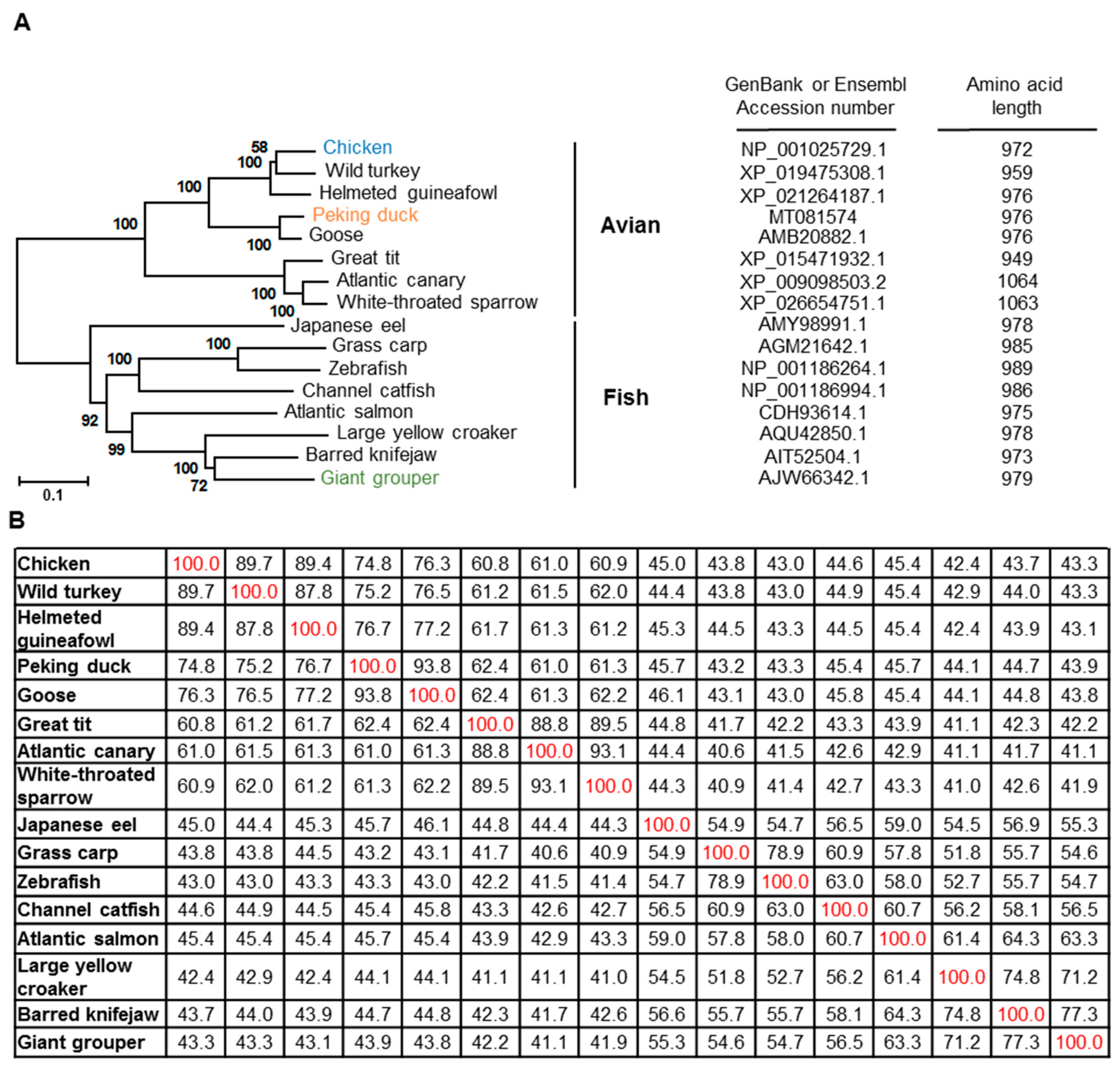 Vaccines 08 00639 g003 Vaccines 08 00639 g003