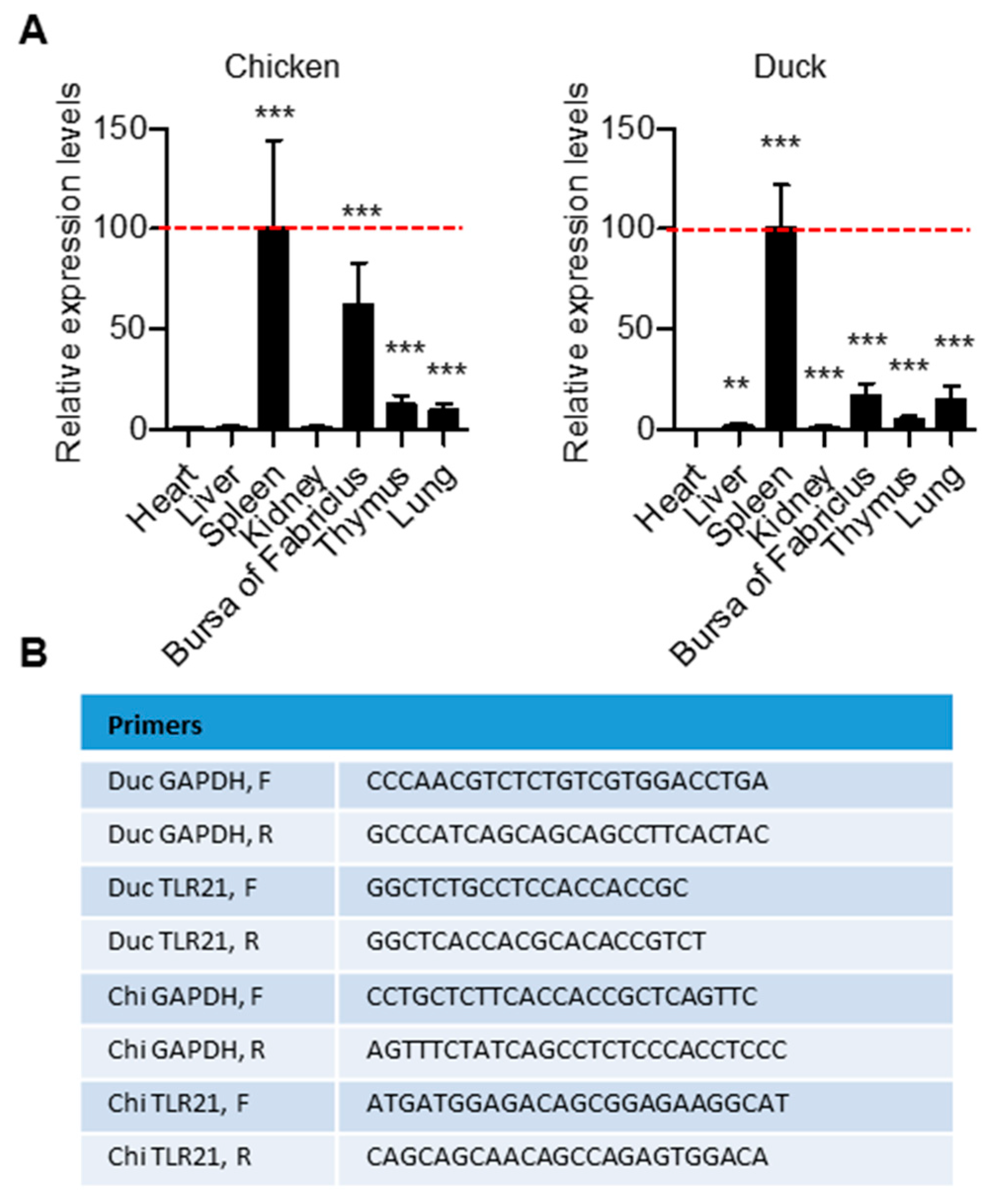 Vaccines 08 00639 g004 Vaccines 08 00639 g004