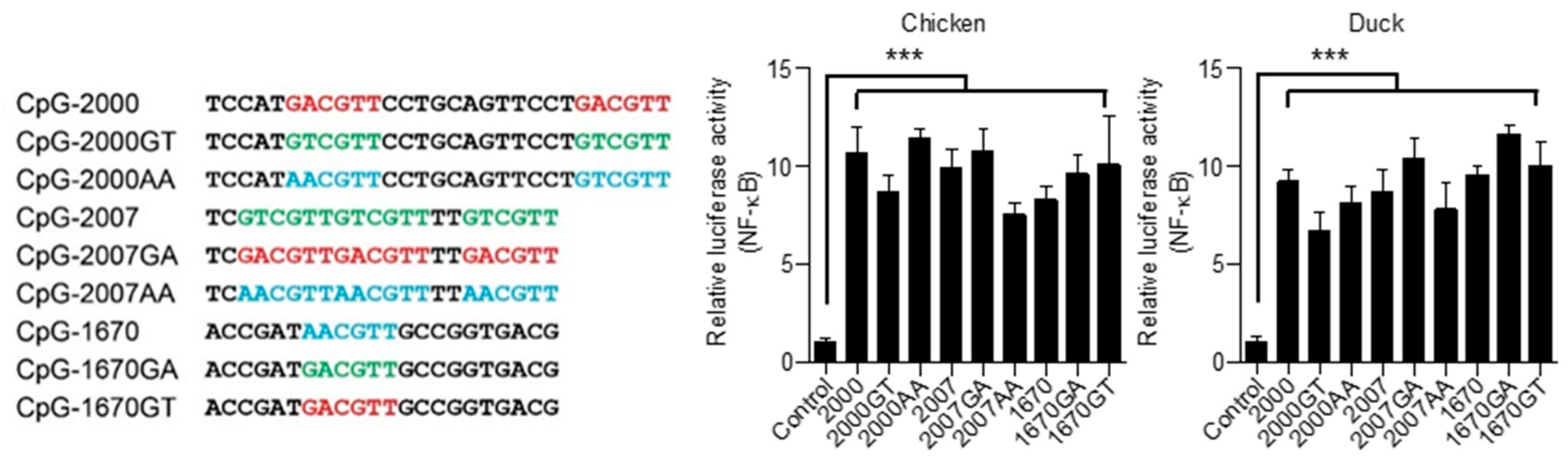 Vaccines 08 00639 g007 Vaccines 08 00639 g007