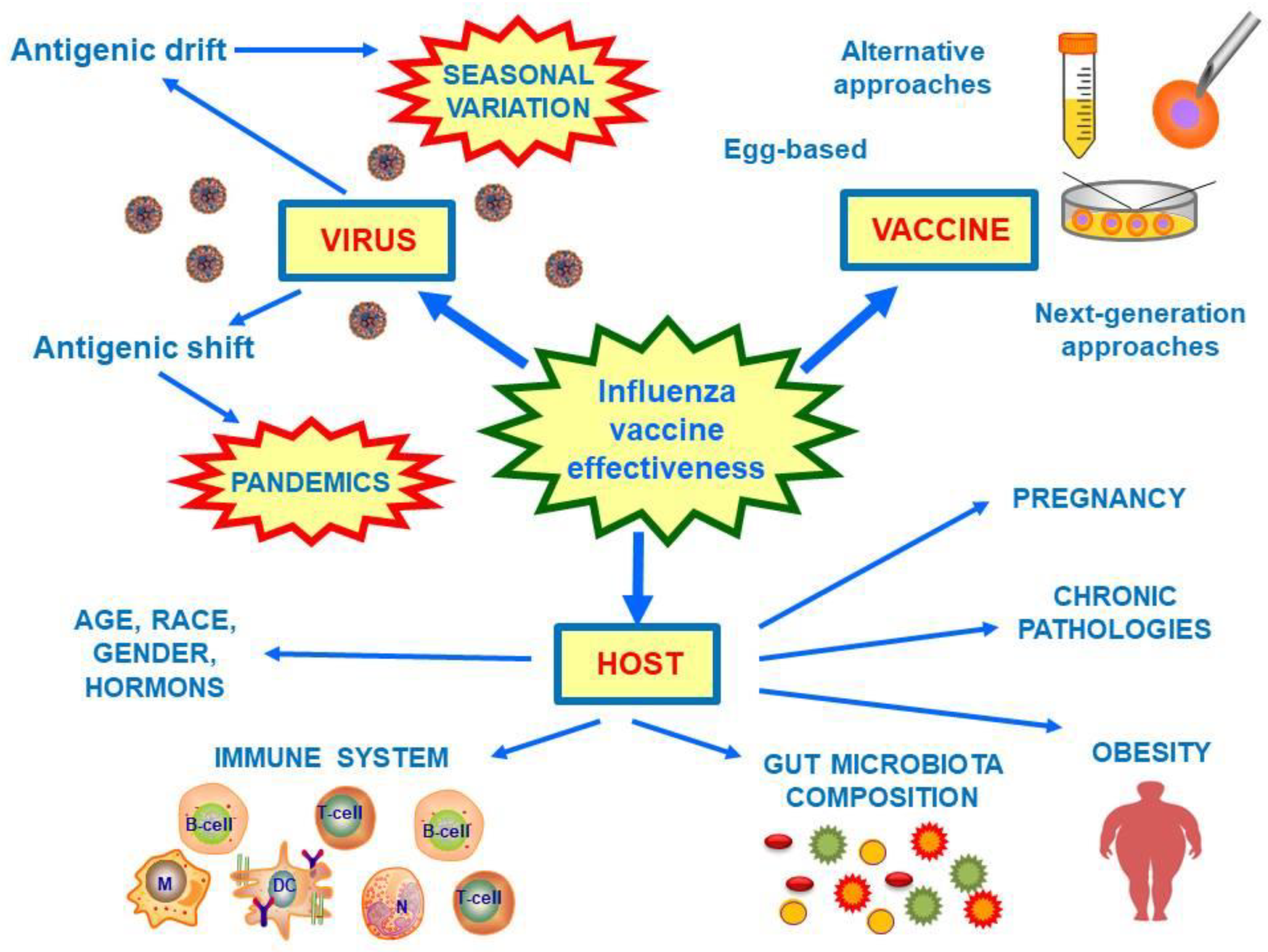 Vaccines 08 00645 g001 Vaccines 08 00645 g001