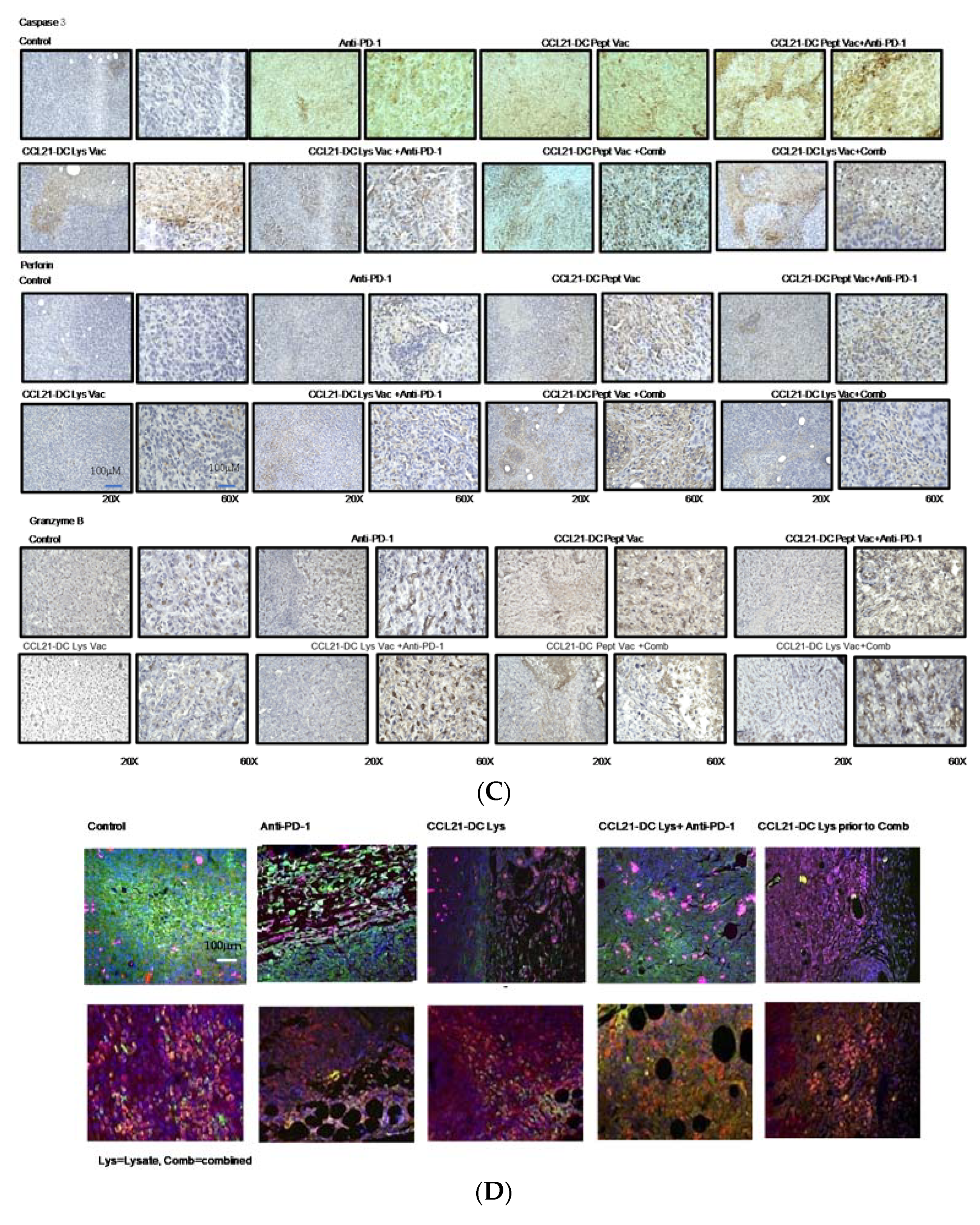 Vaccines 08 00655 g002b Vaccines 08 00655 g002b