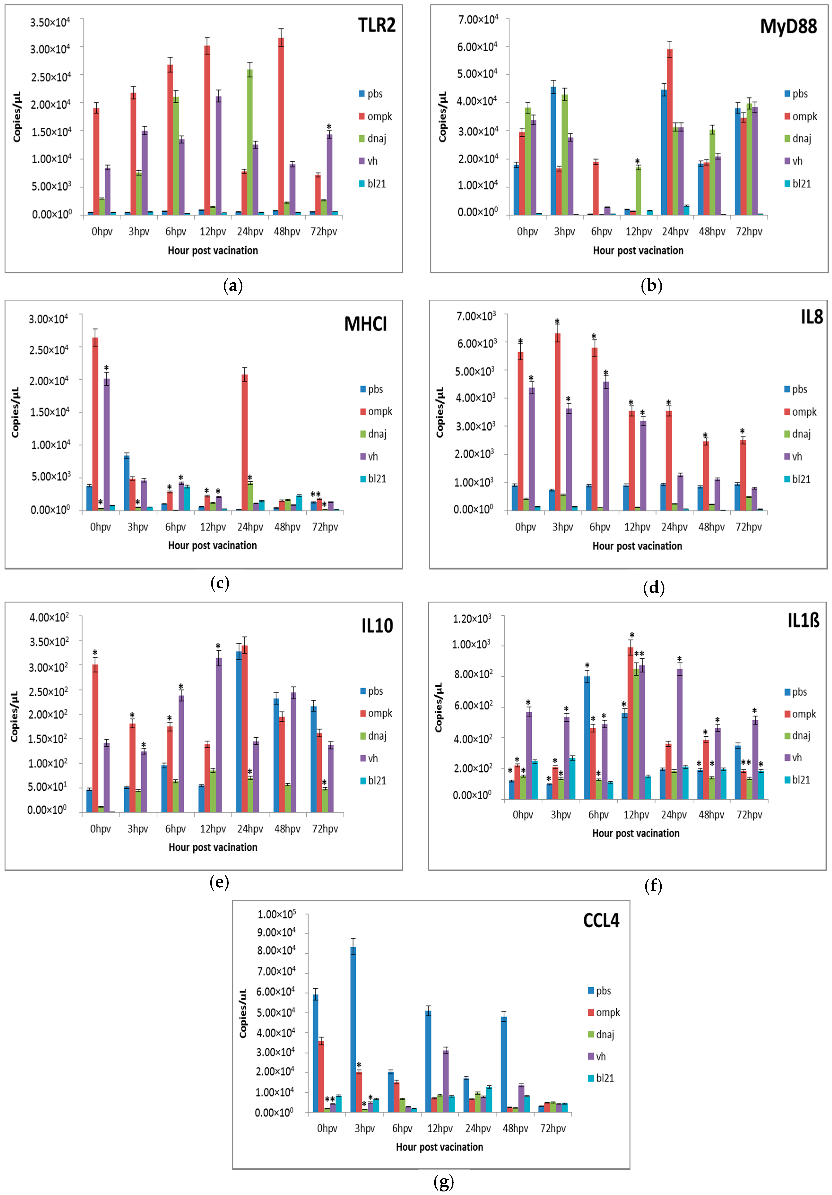 Vaccines 08 00660 g004