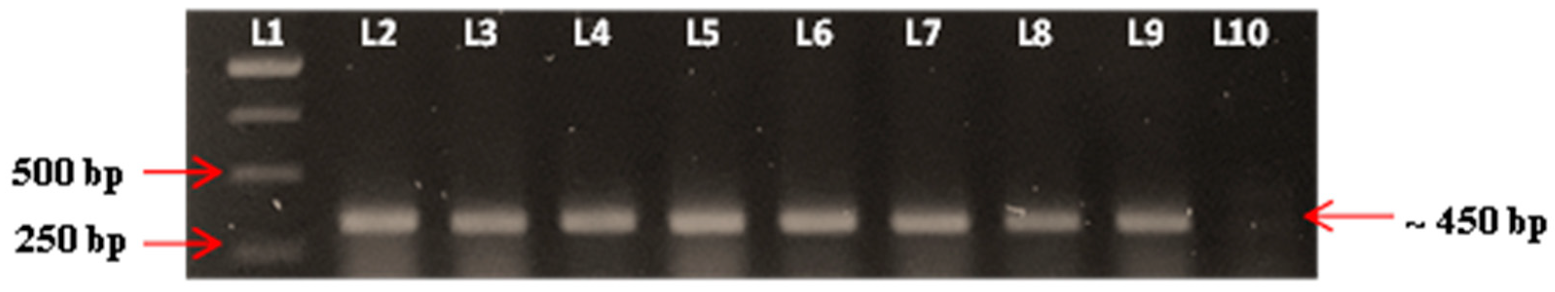 Vaccines 08 00660 g007
