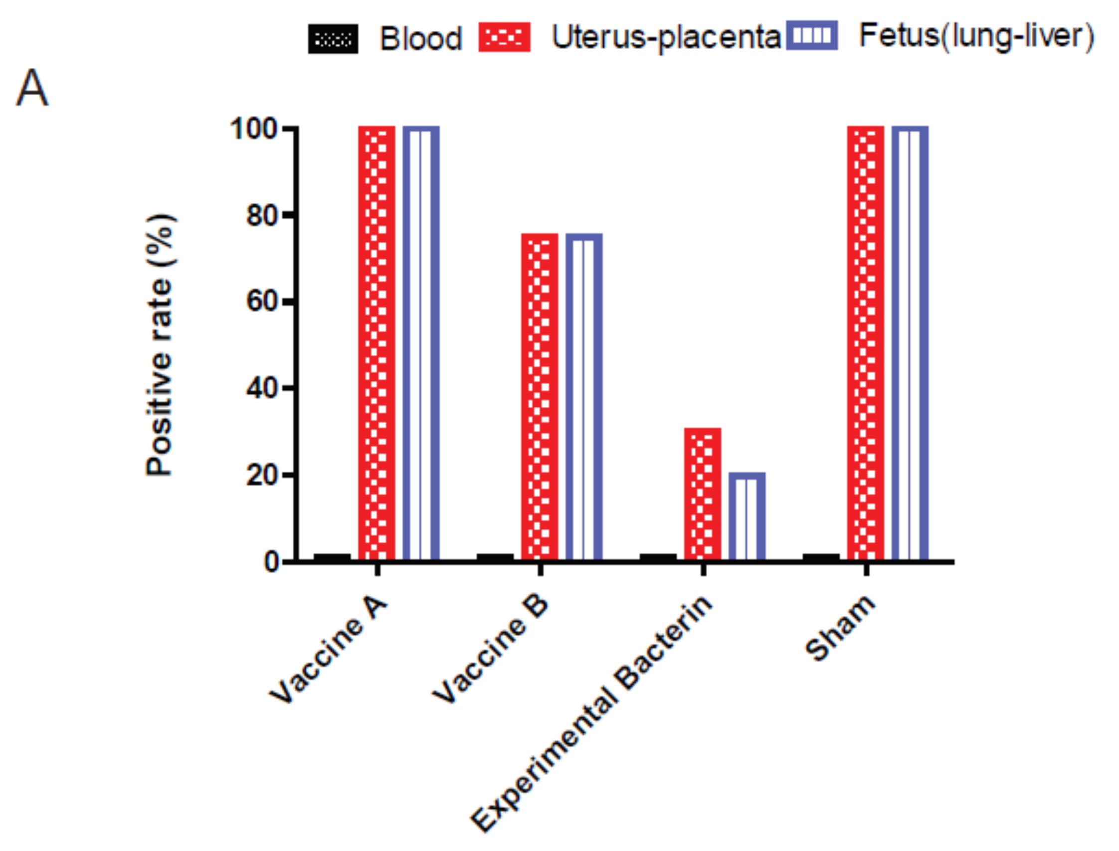 Vaccines 08 00662 g004a
