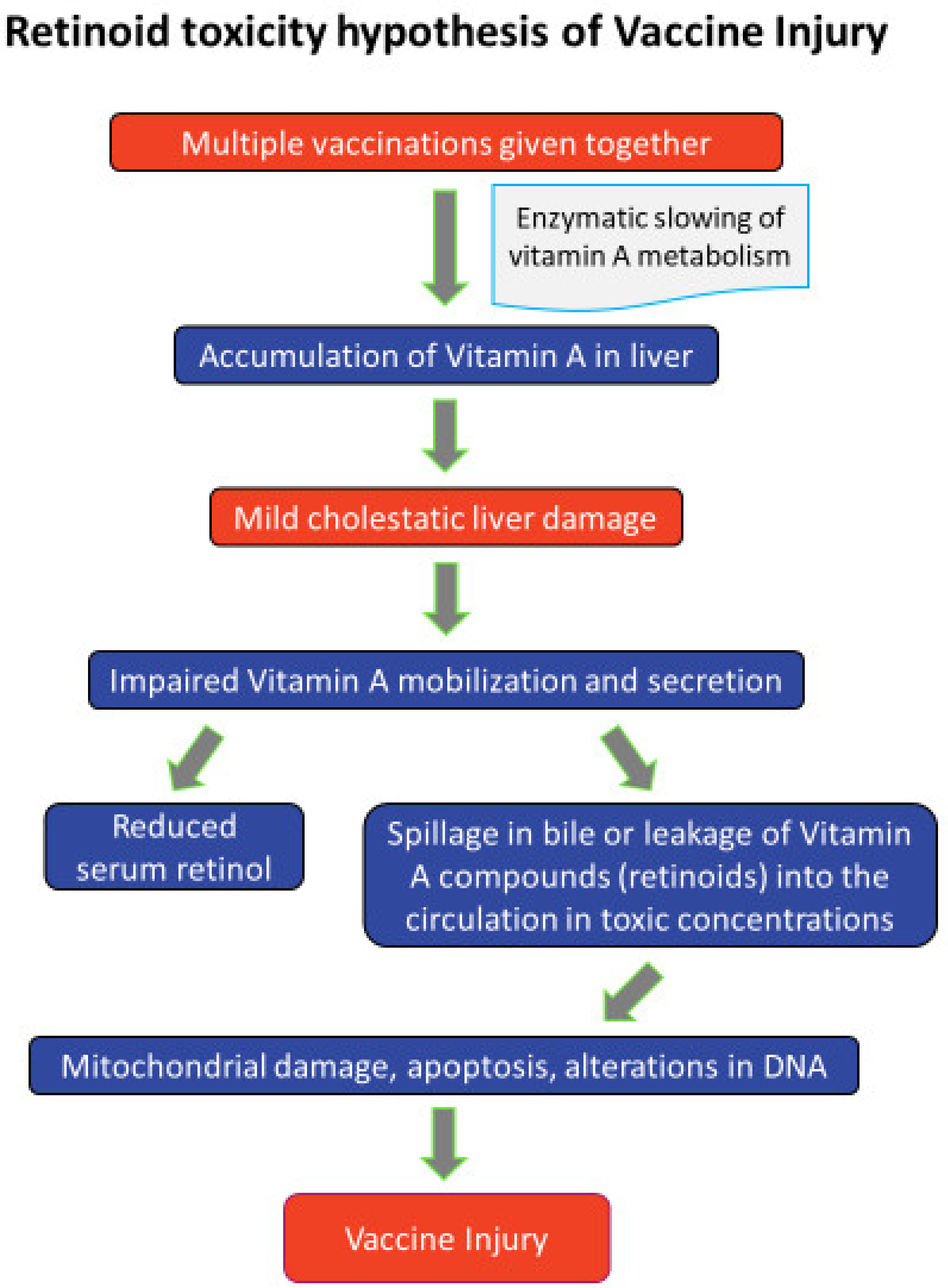 Vaccines Free Full Text Multiple Vaccinations And The Enigma Of