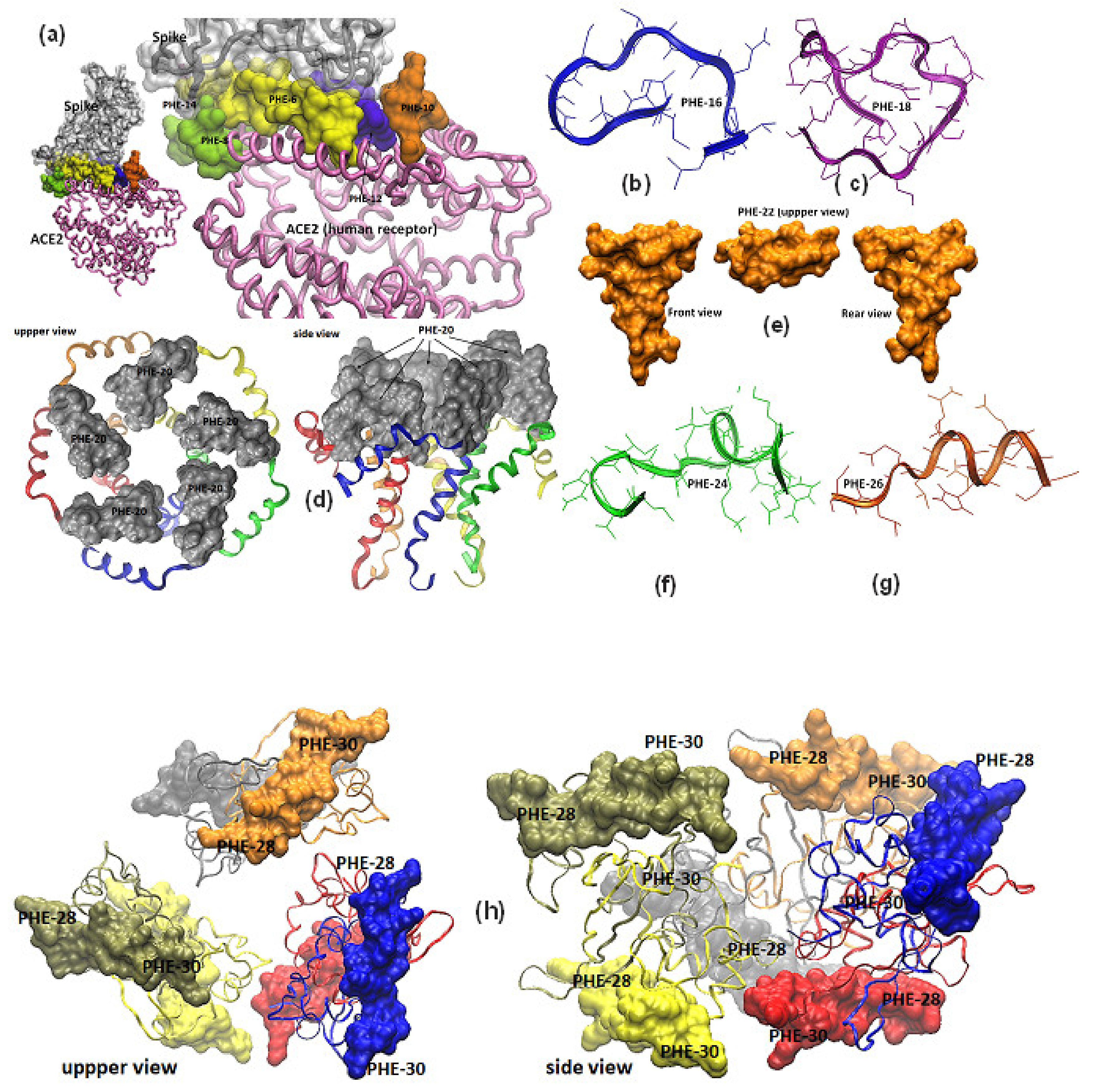 Vaccines 08 00692 g002