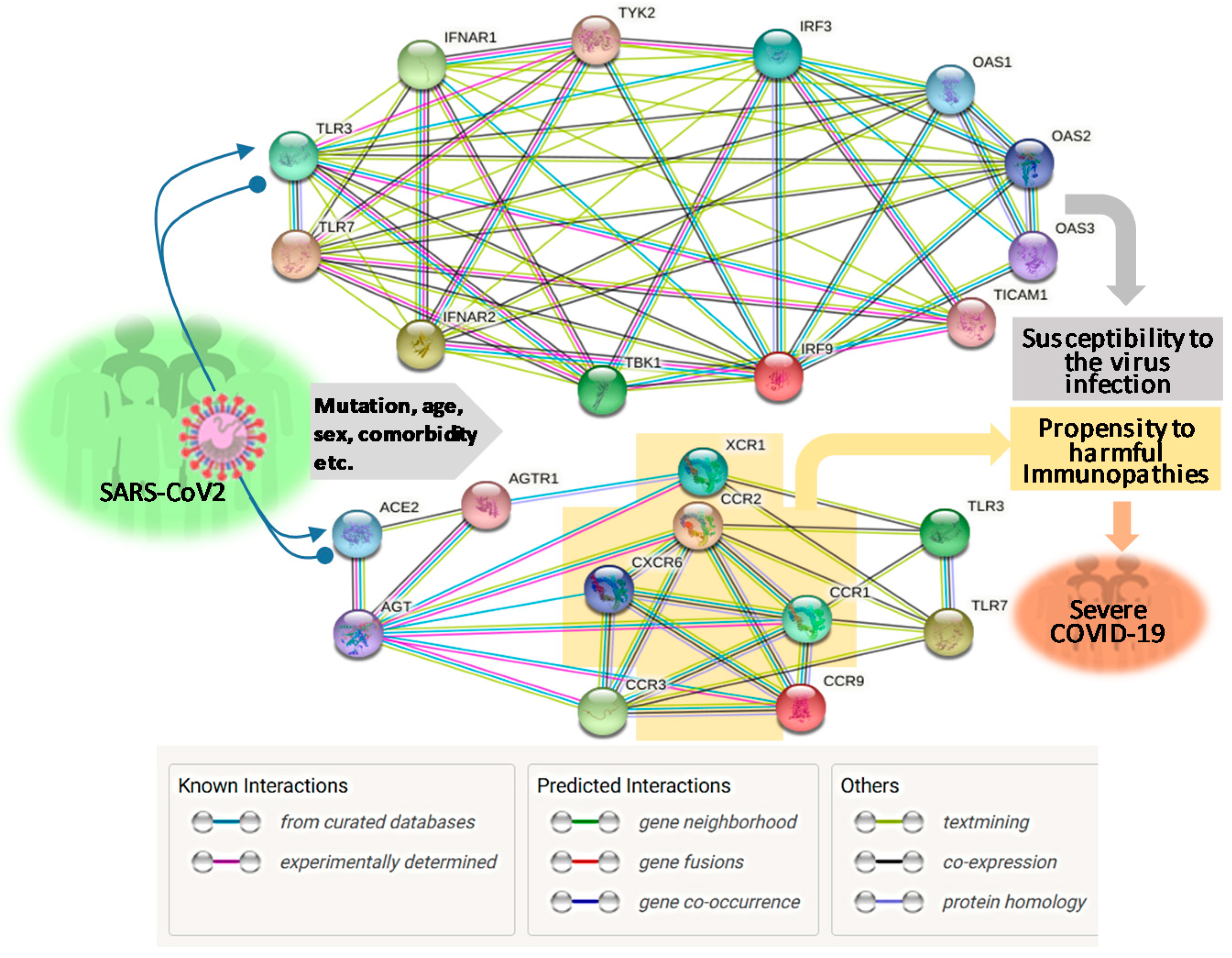 Vaccines 08 00700 g001 Vaccines 08 00700 g001