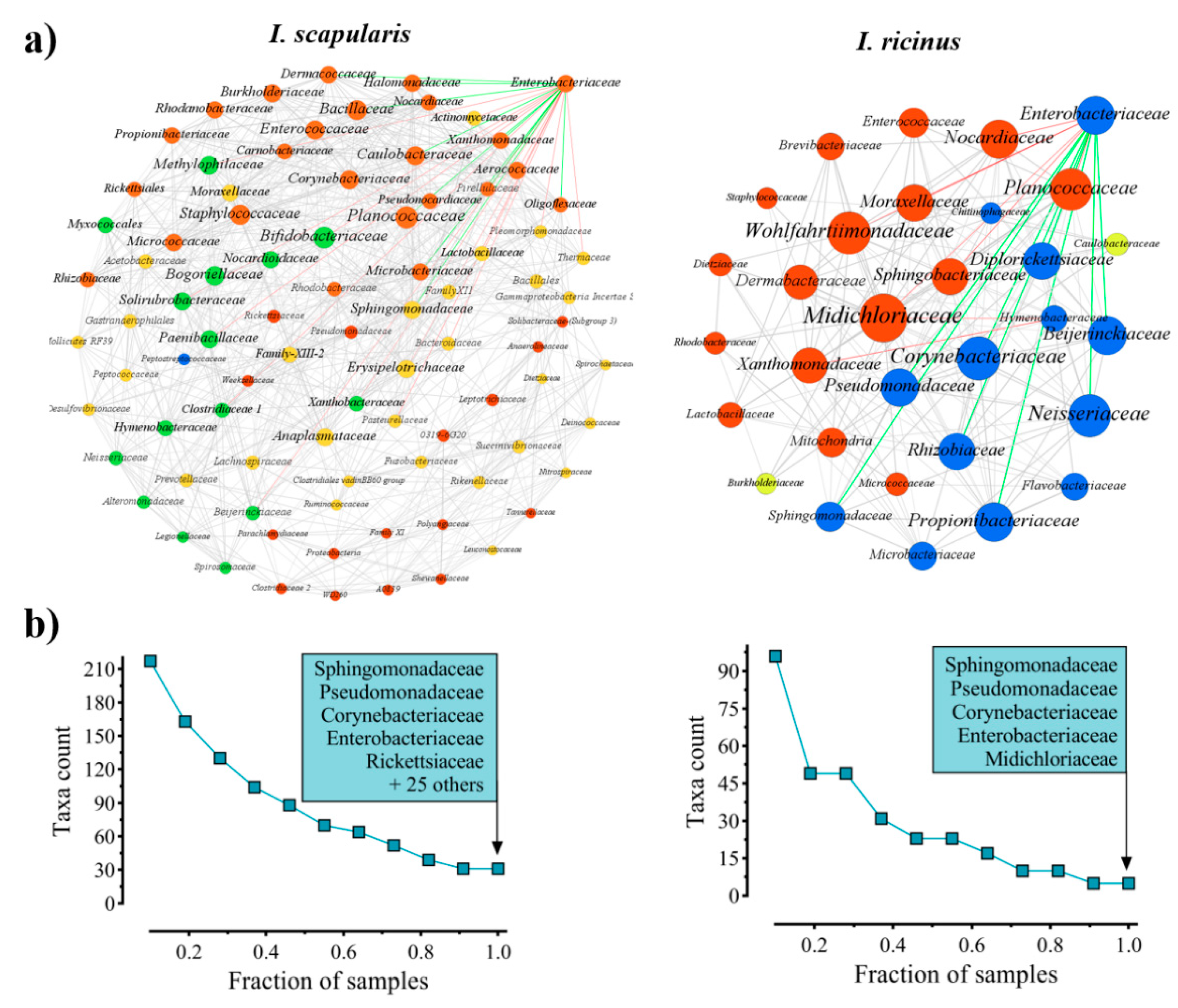 Vaccines 08 00702 g001