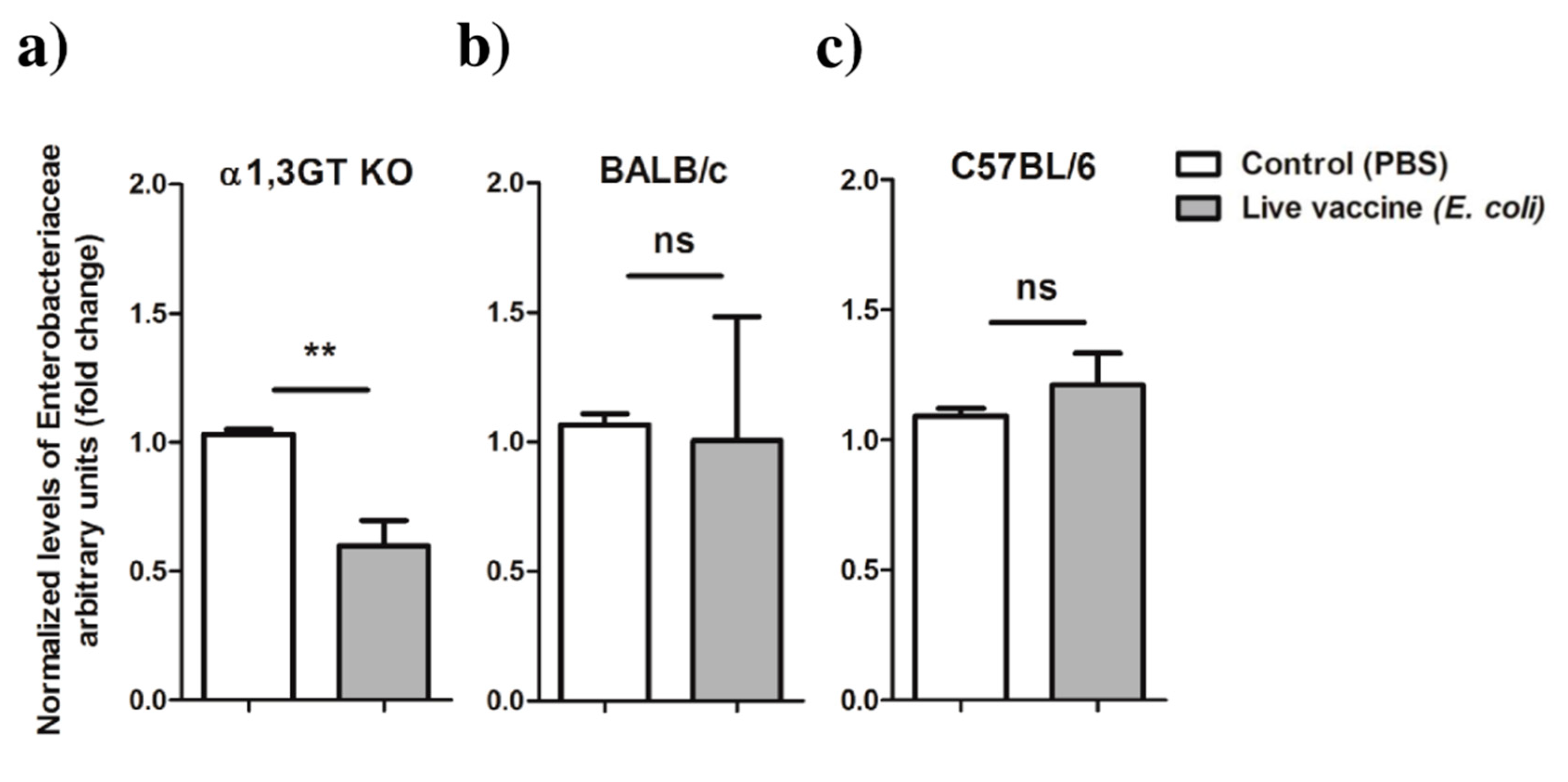 Vaccines 08 00702 g007