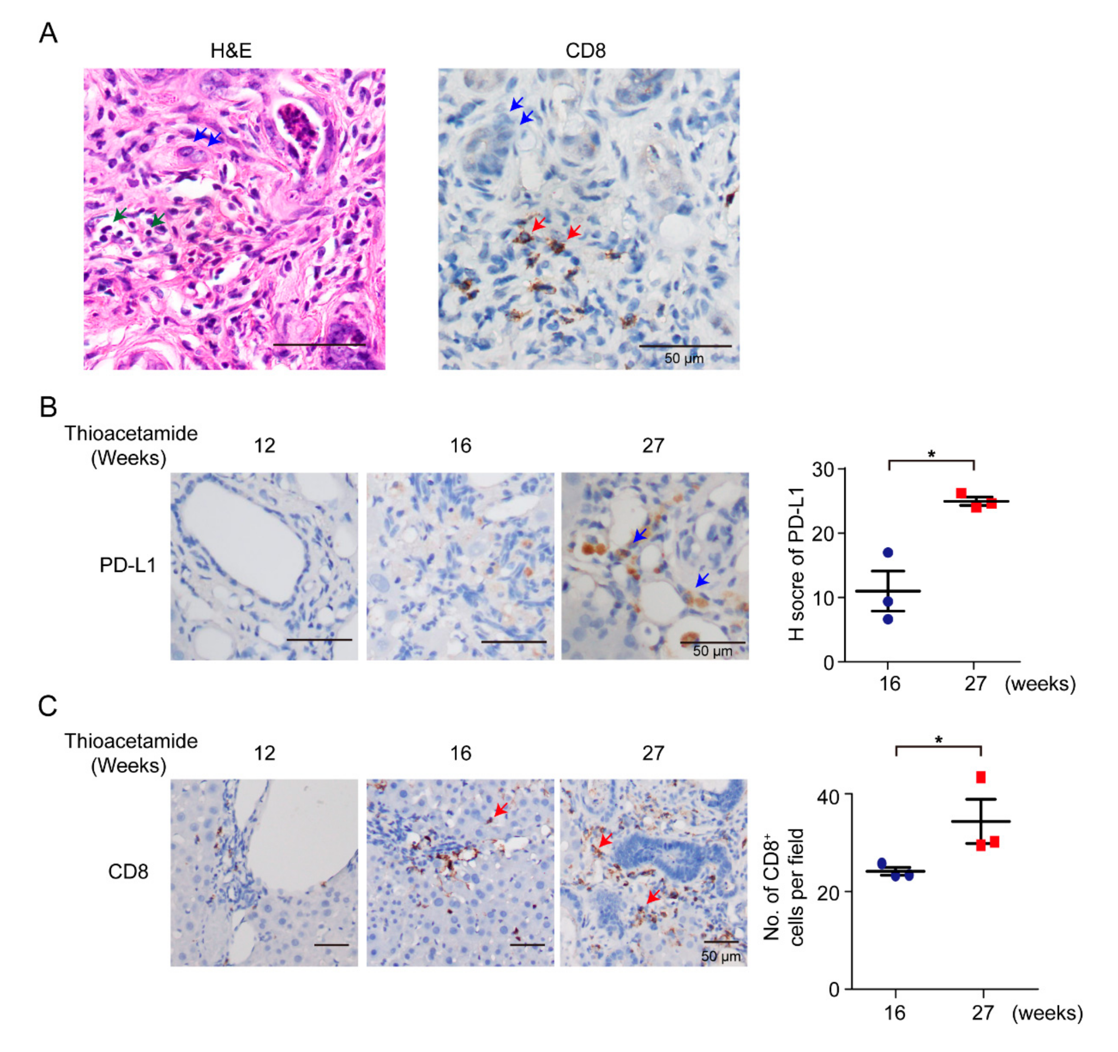 Vaccines 08 00703 g001