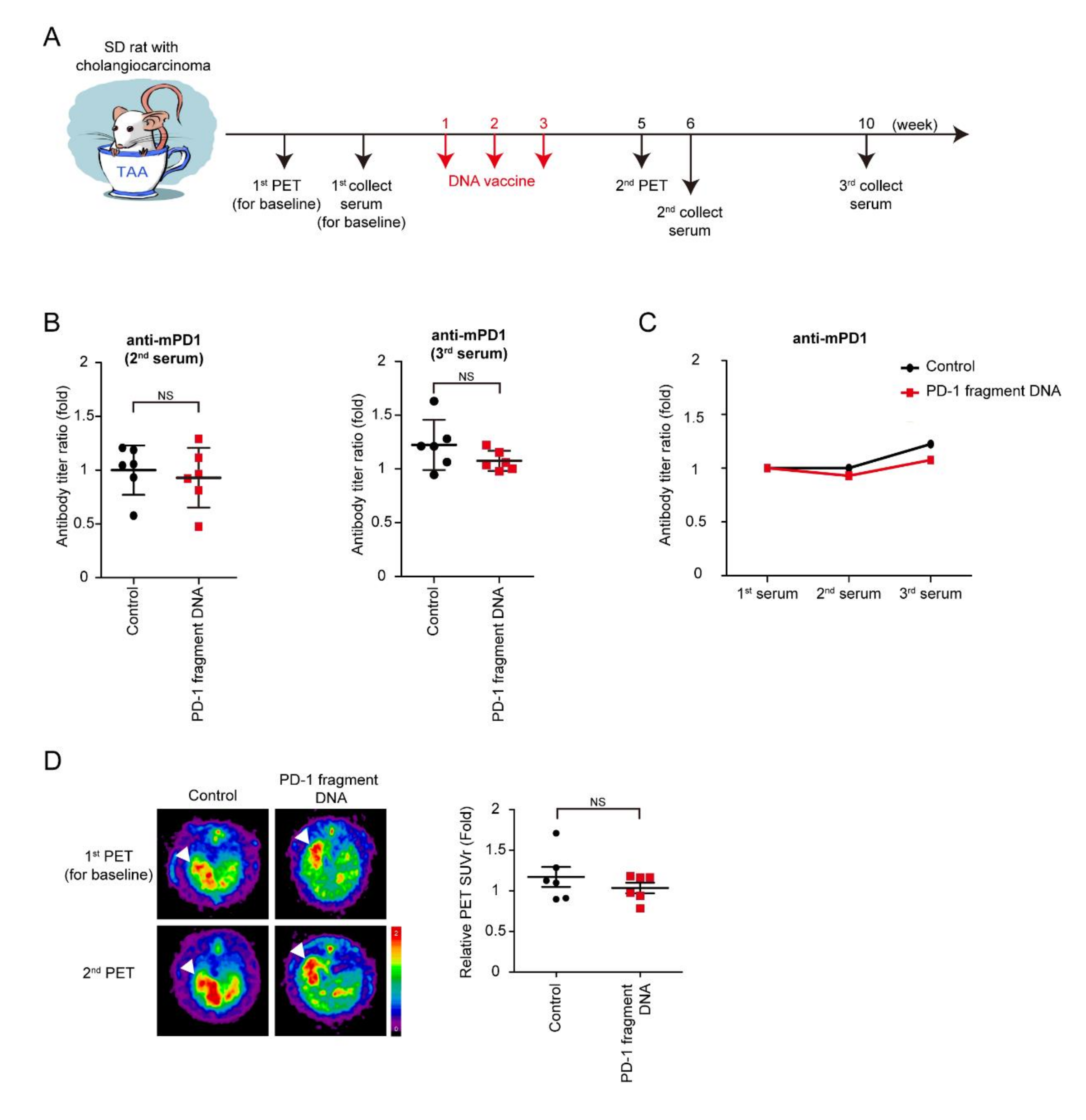 Vaccines 08 00703 g002