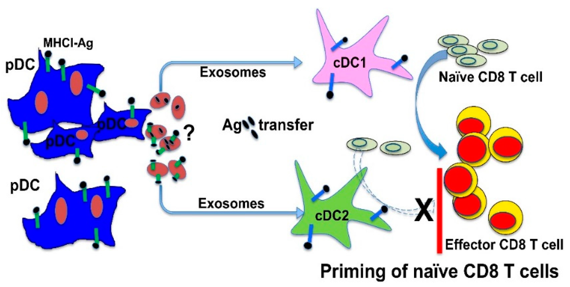 Vaccines 08 00706 g001
