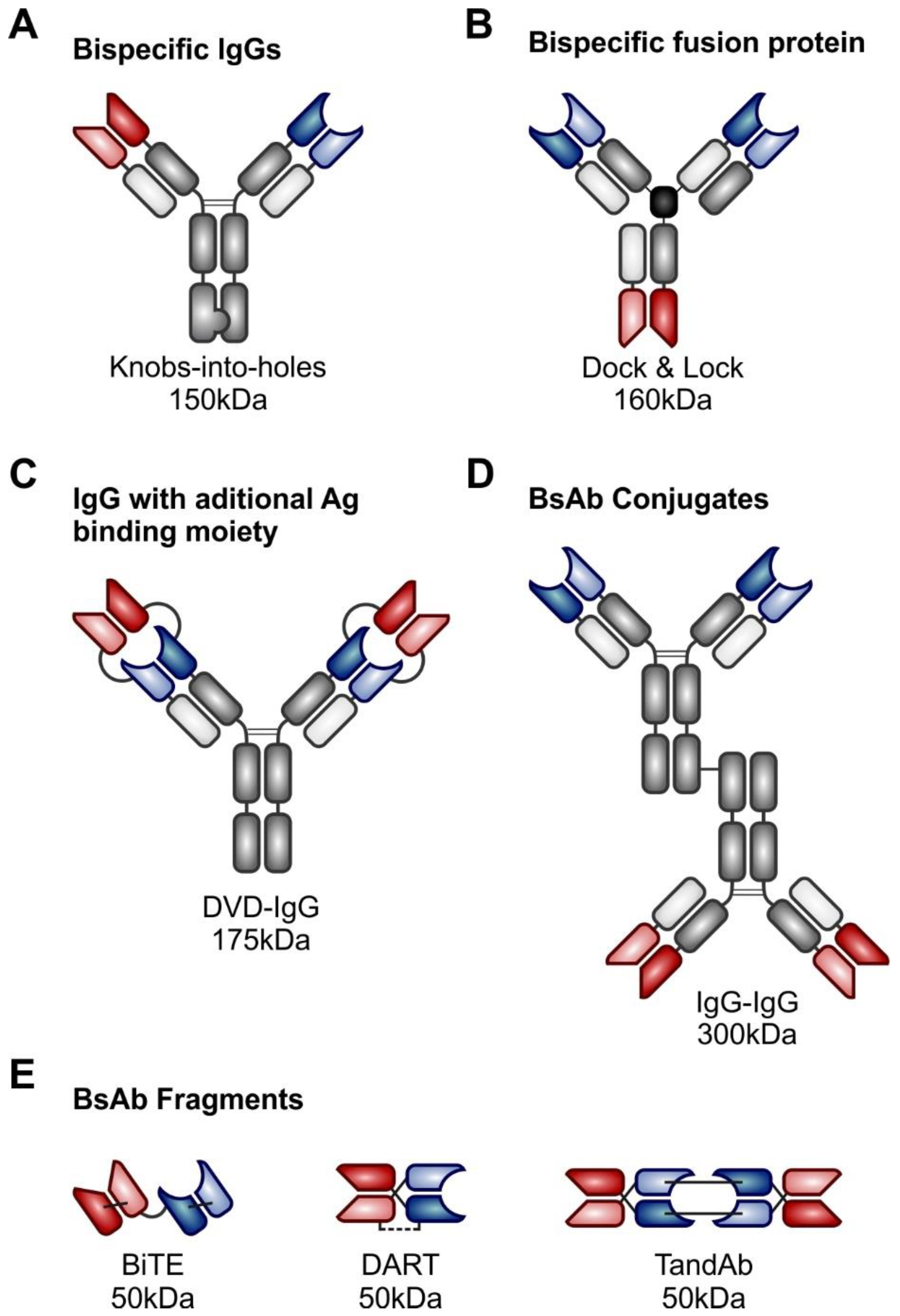 Vaccines Free Full Text Current Immunotherapy Approaches In Non Hodgkin Lymphomas Html