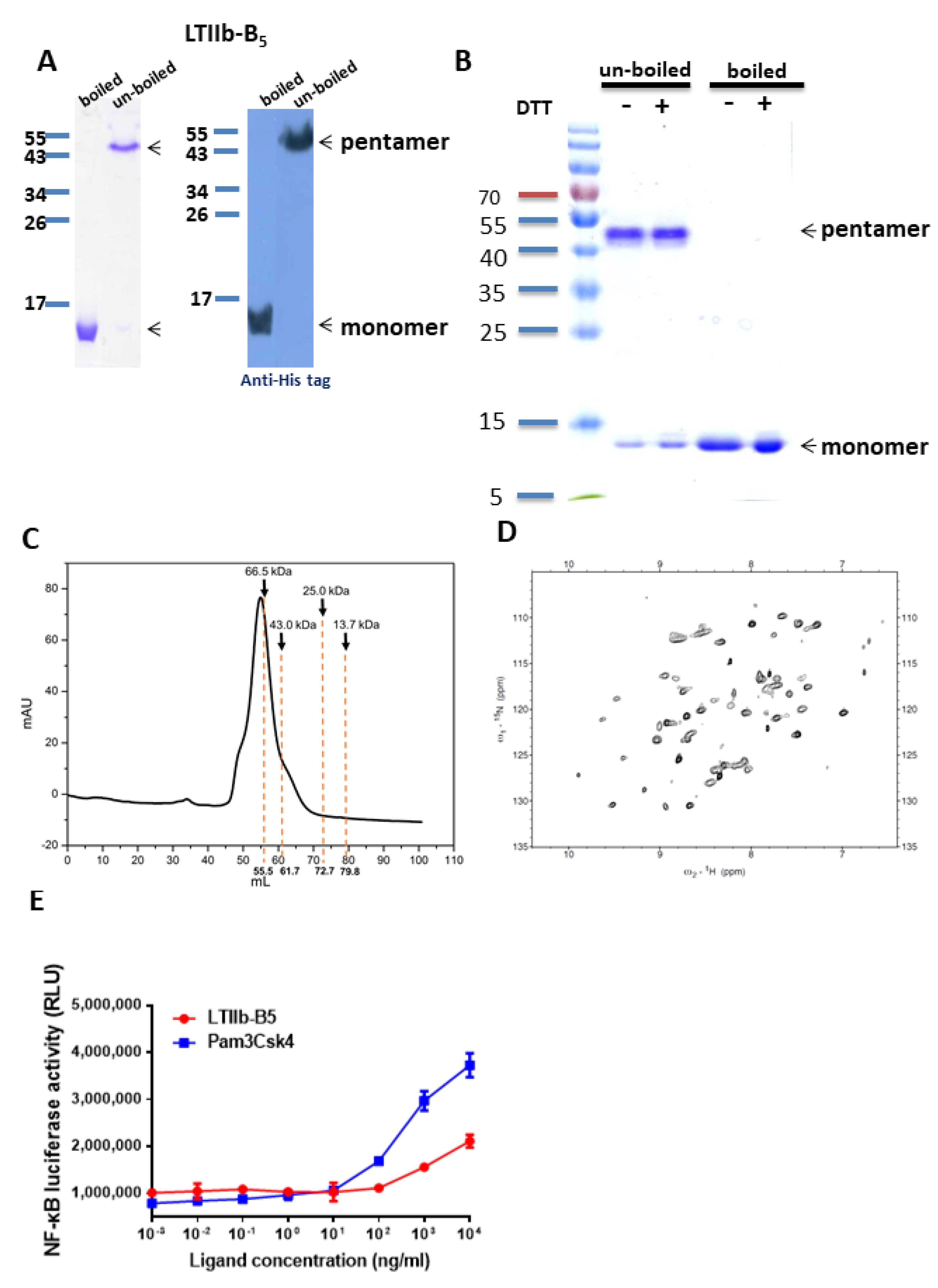 Vaccines 08 00710 g001 Vaccines 08 00710 g001