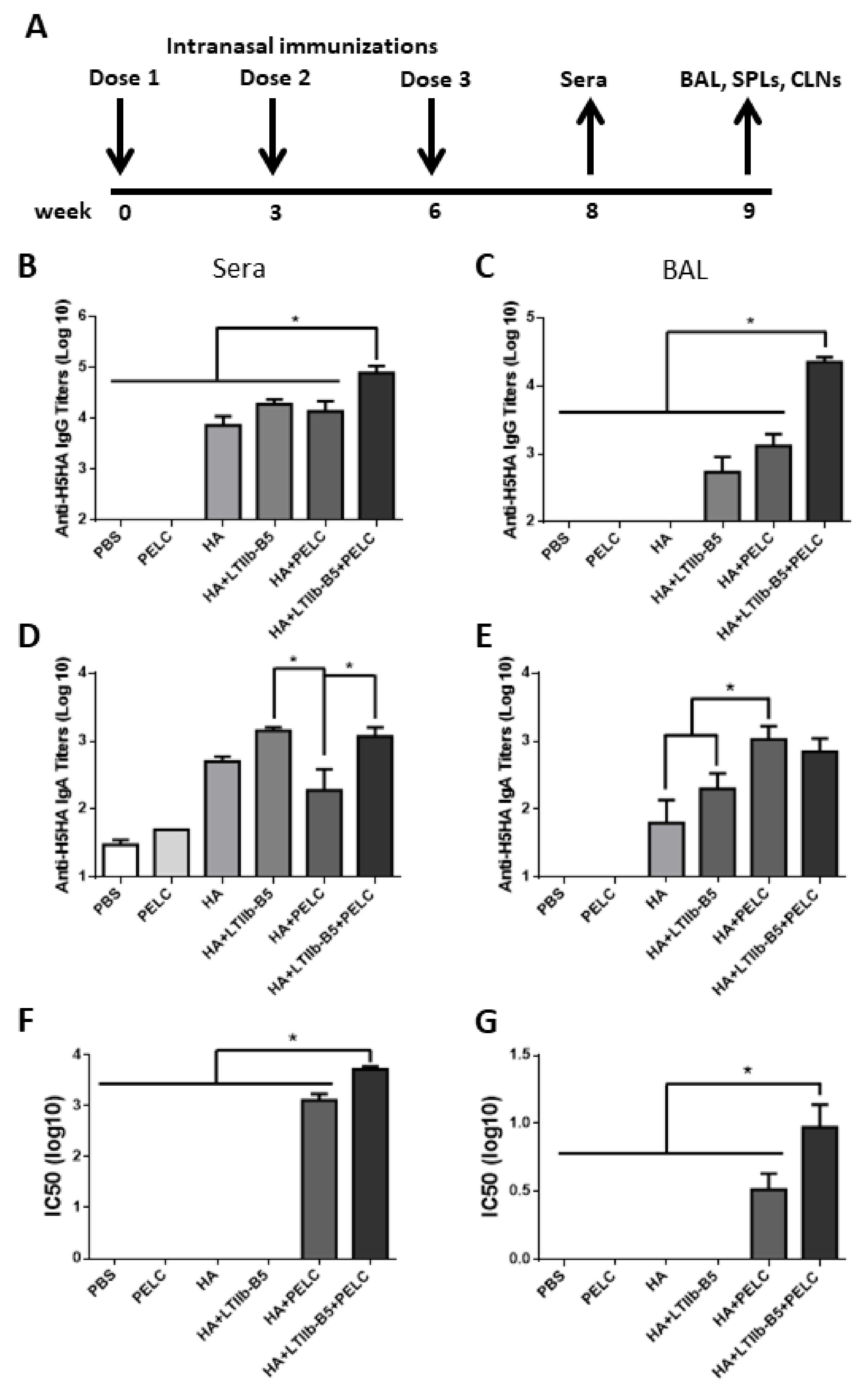 Vaccines 08 00710 g002 Vaccines 08 00710 g002