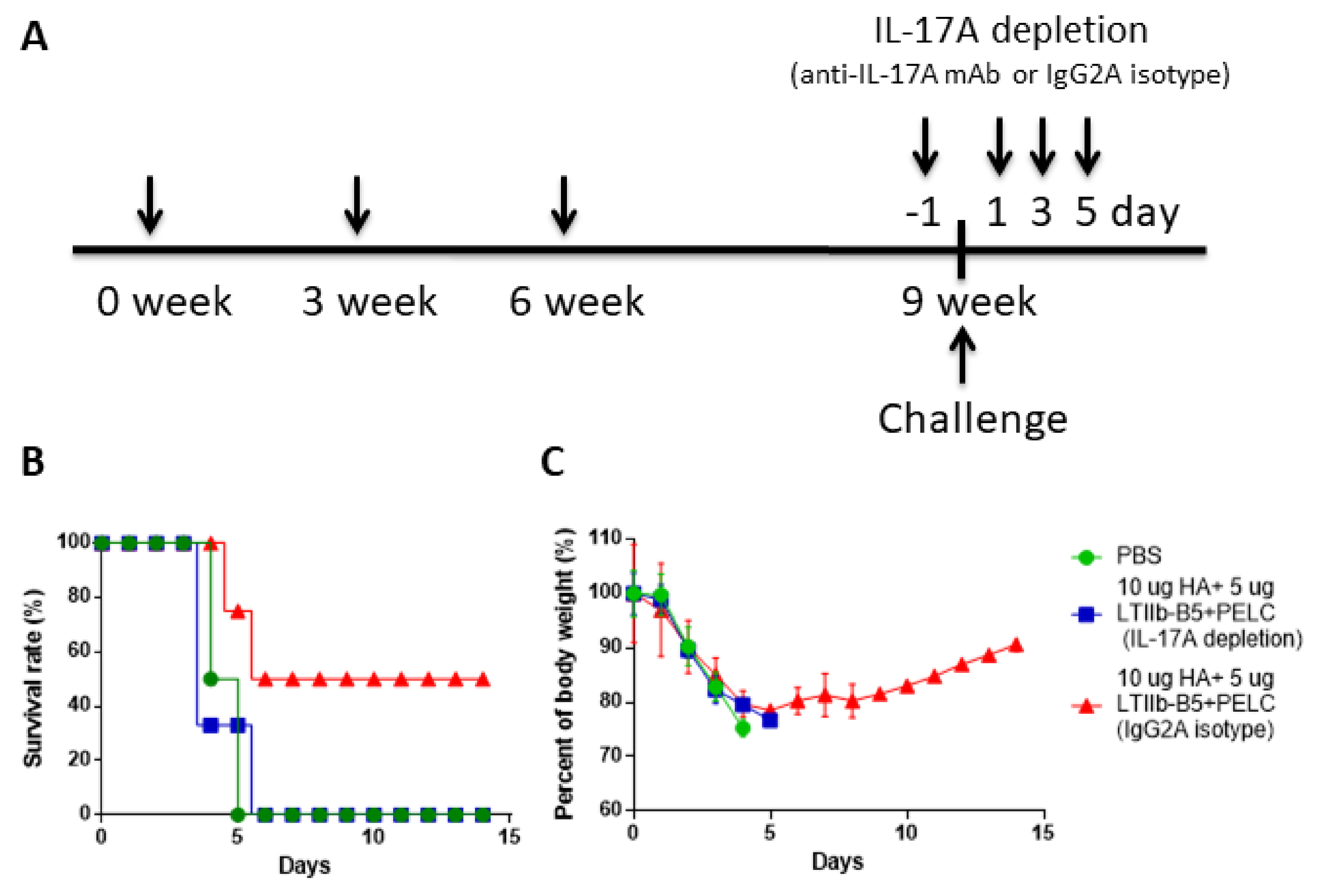Vaccines 08 00710 g007 Vaccines 08 00710 g007