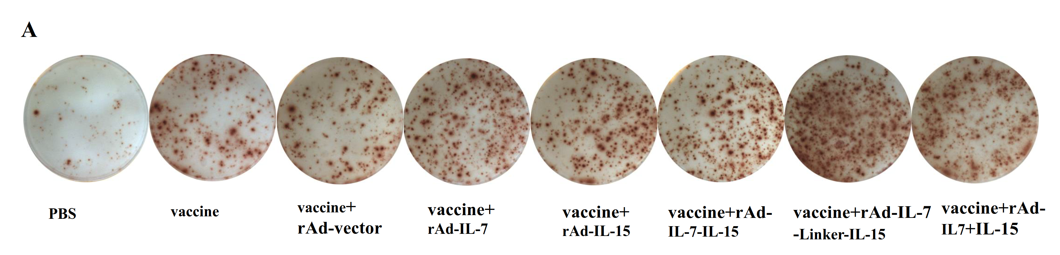 Vaccines 08 00715 g001a Vaccines 08 00715 g001a