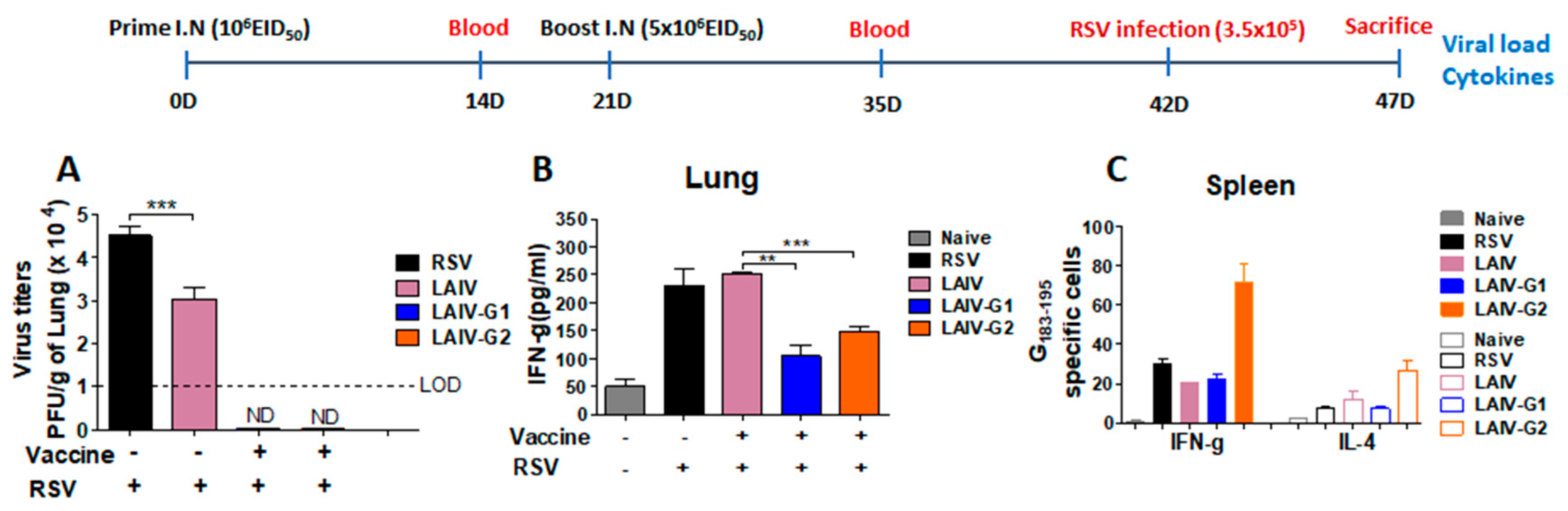 Vaccines 08 00716 g004