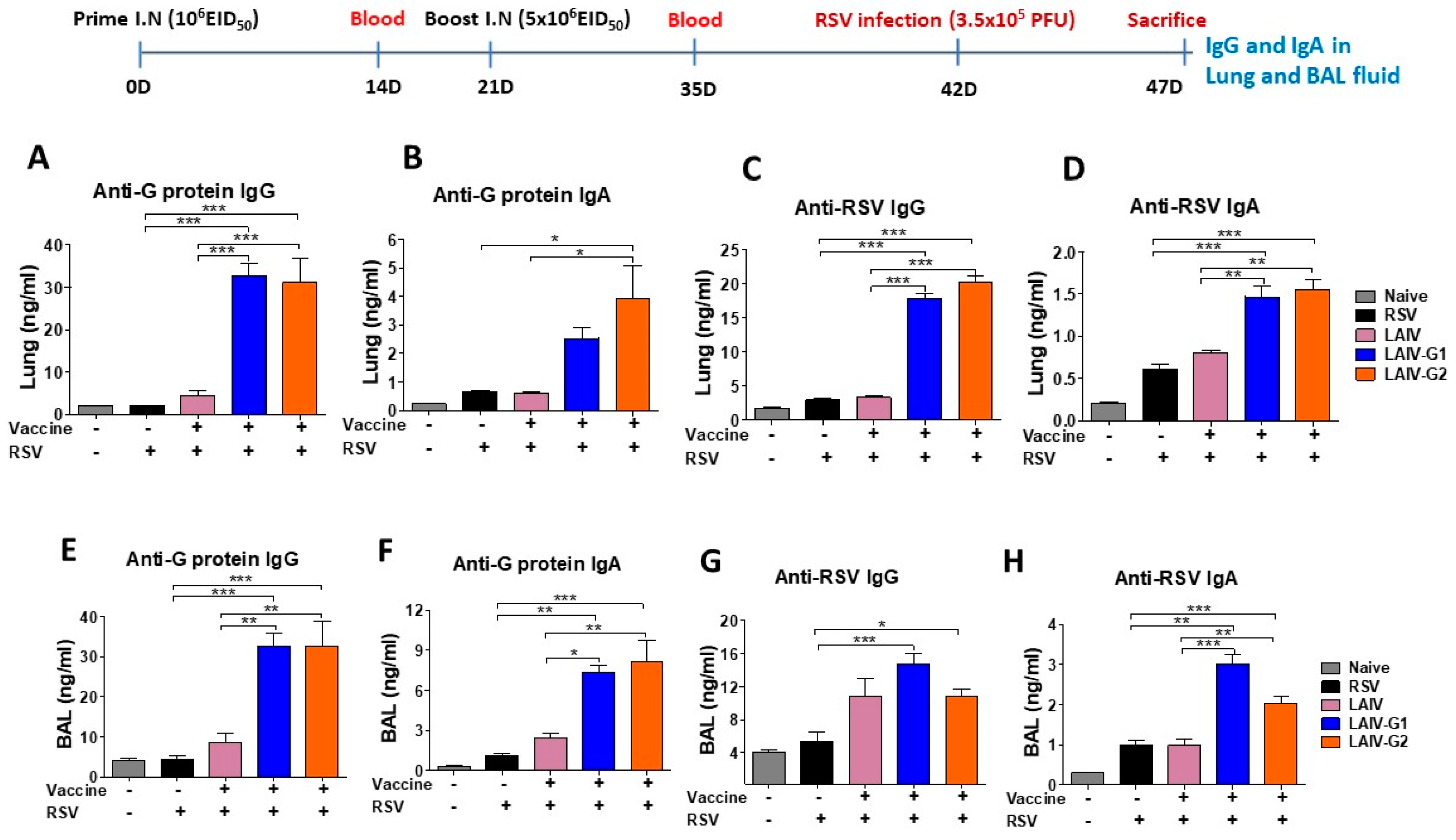 Vaccines 08 00716 g006