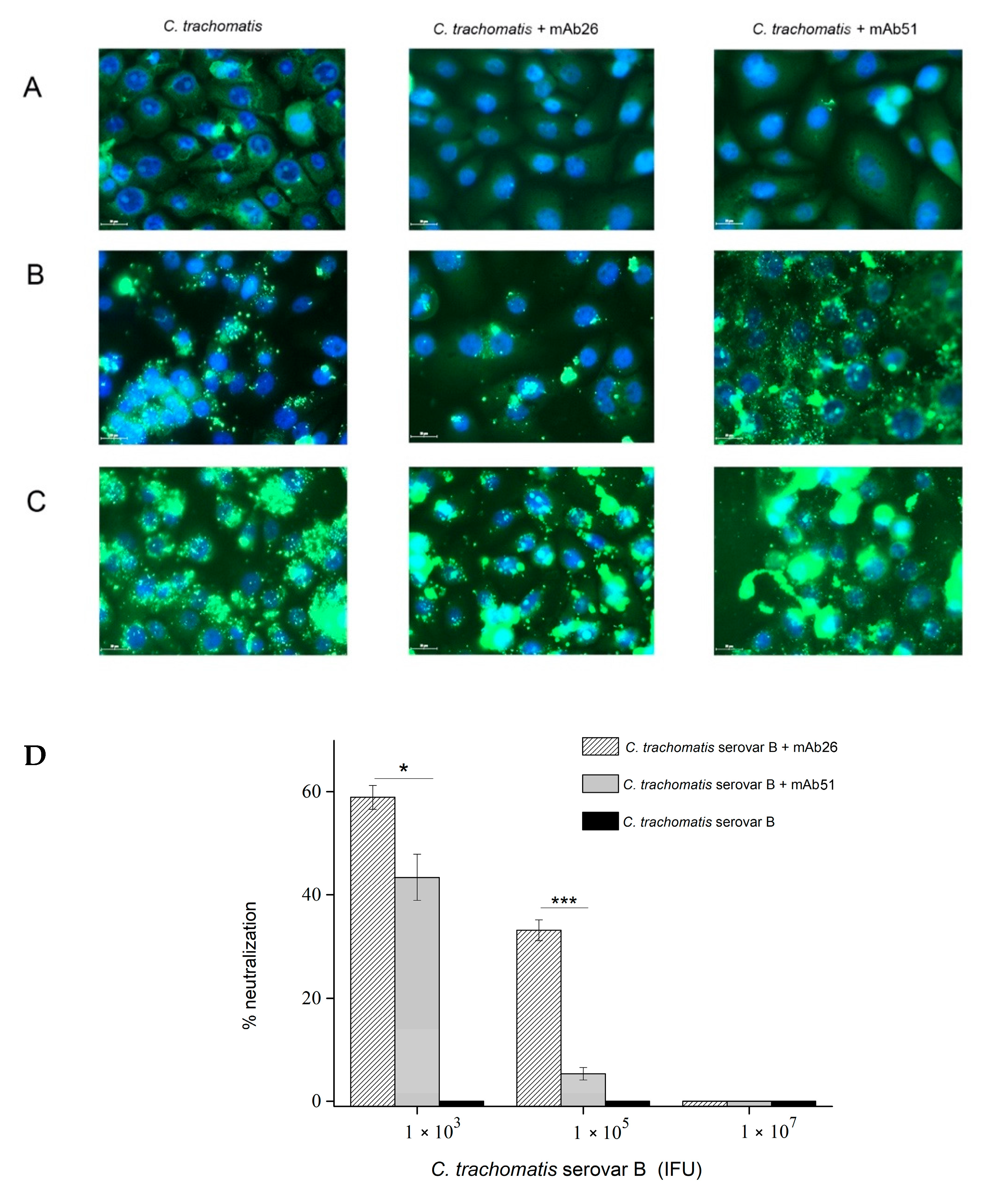 Vaccines 08 00719 g004 Vaccines 08 00719 g004