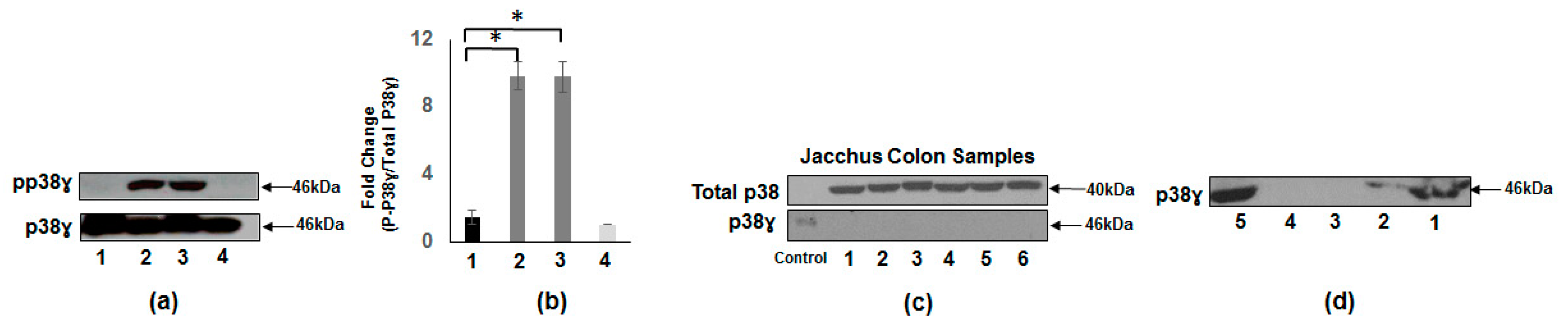 Vaccines 08 00720 g002