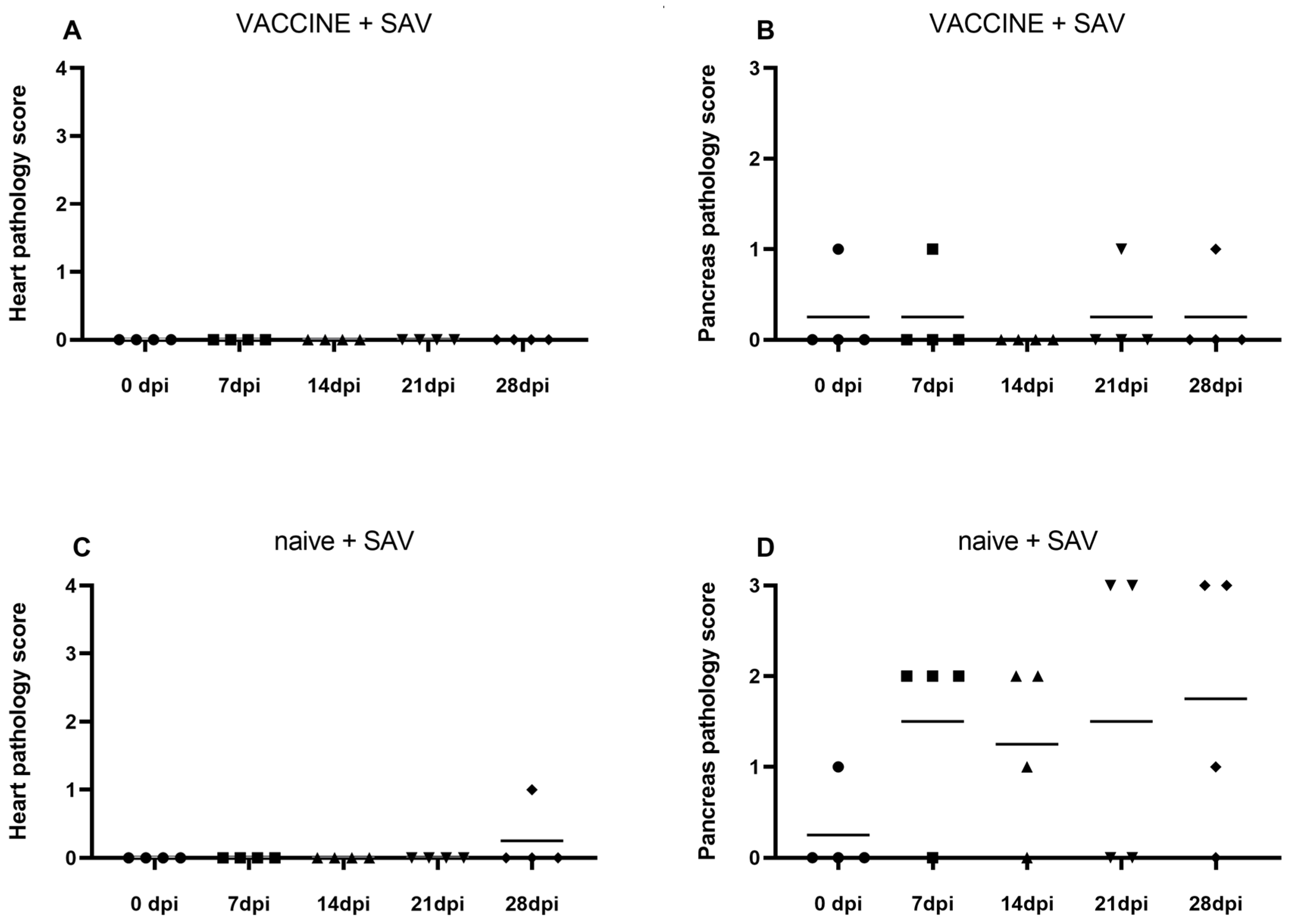 Vaccines 08 00725 g002 Vaccines 08 00725 g002
