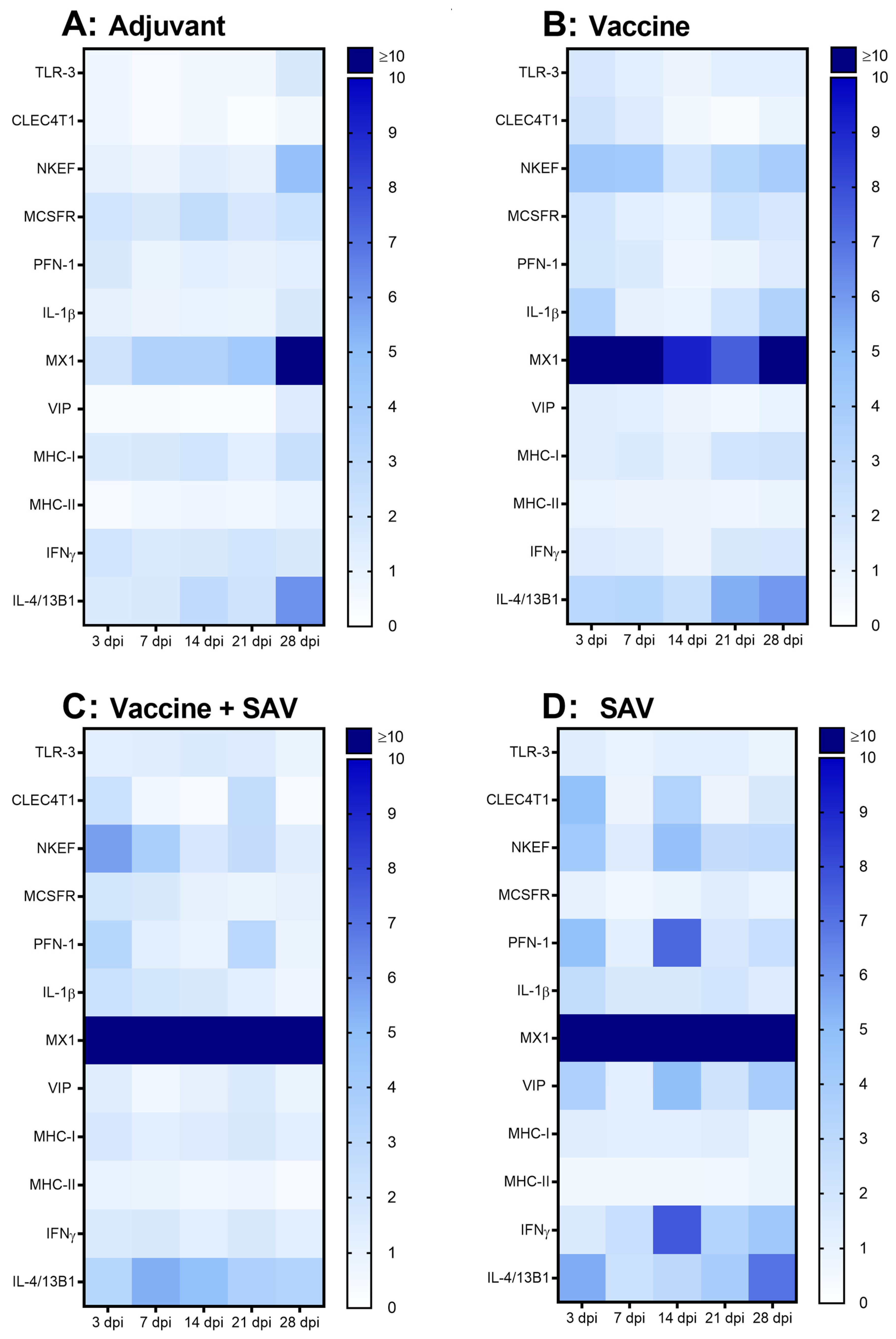 Vaccines 08 00725 g005 Vaccines 08 00725 g005